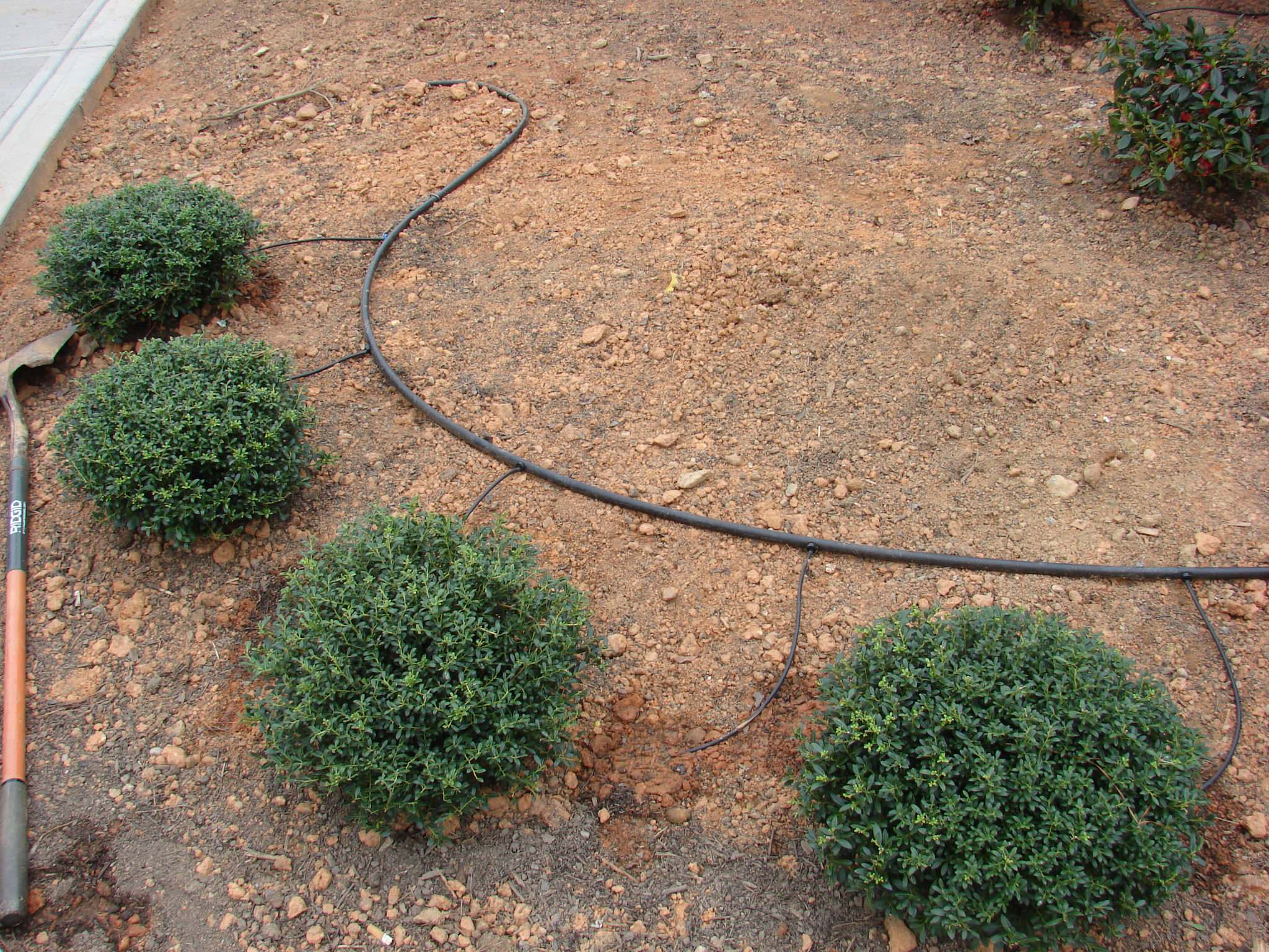 Зачем вам: Капельный полив на участке