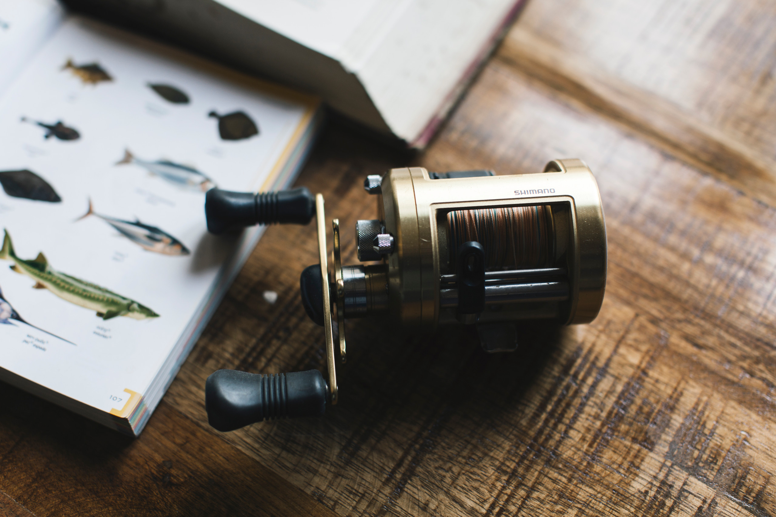 В гостях: Холостяцкий лофт в Звенигороде — личный дизайнерский опыт