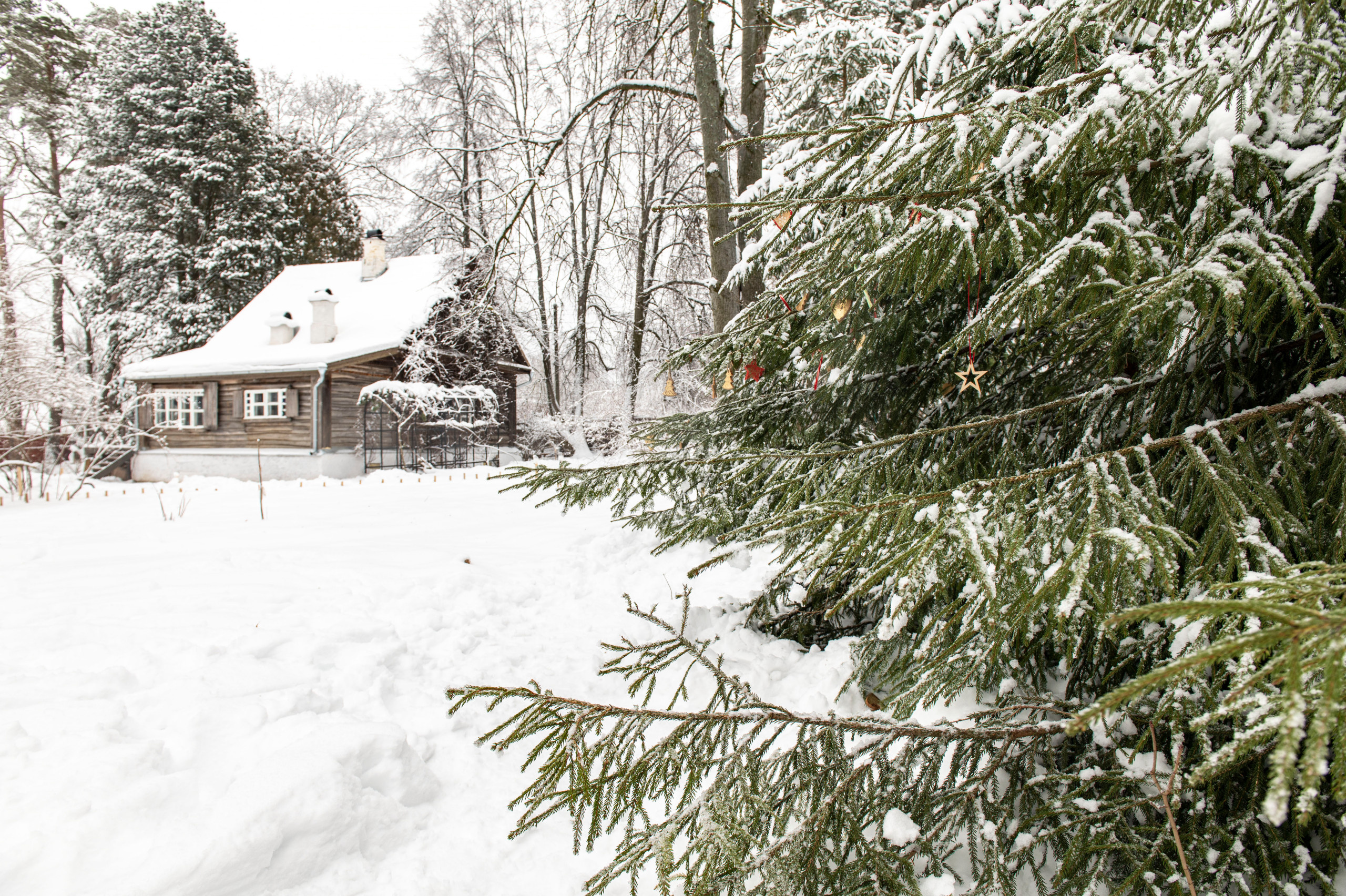 Как украсить дом к Новому году: Пример декоратора Жени Ждановой