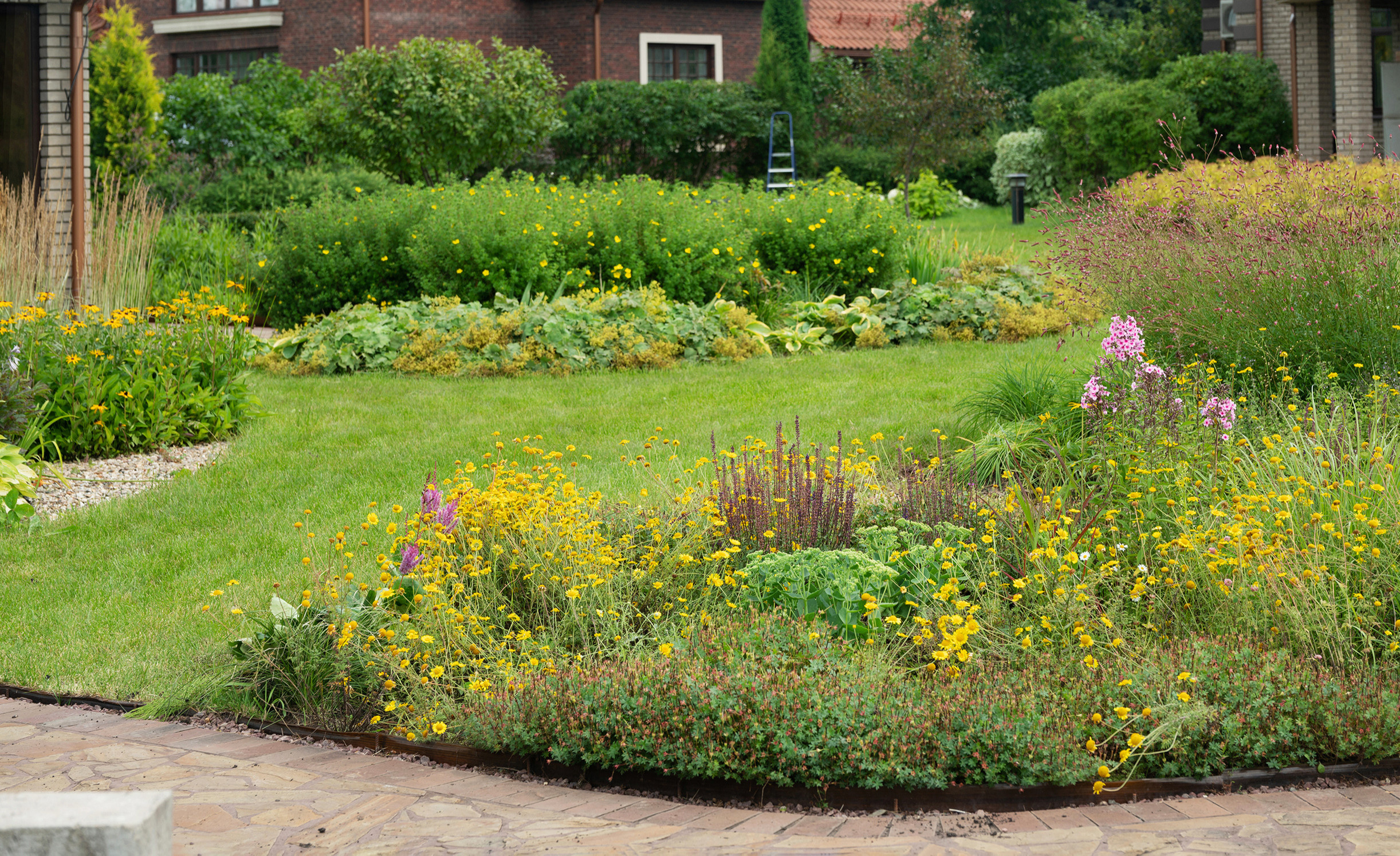 Проект недели: Пейзажный сад от телеведущей