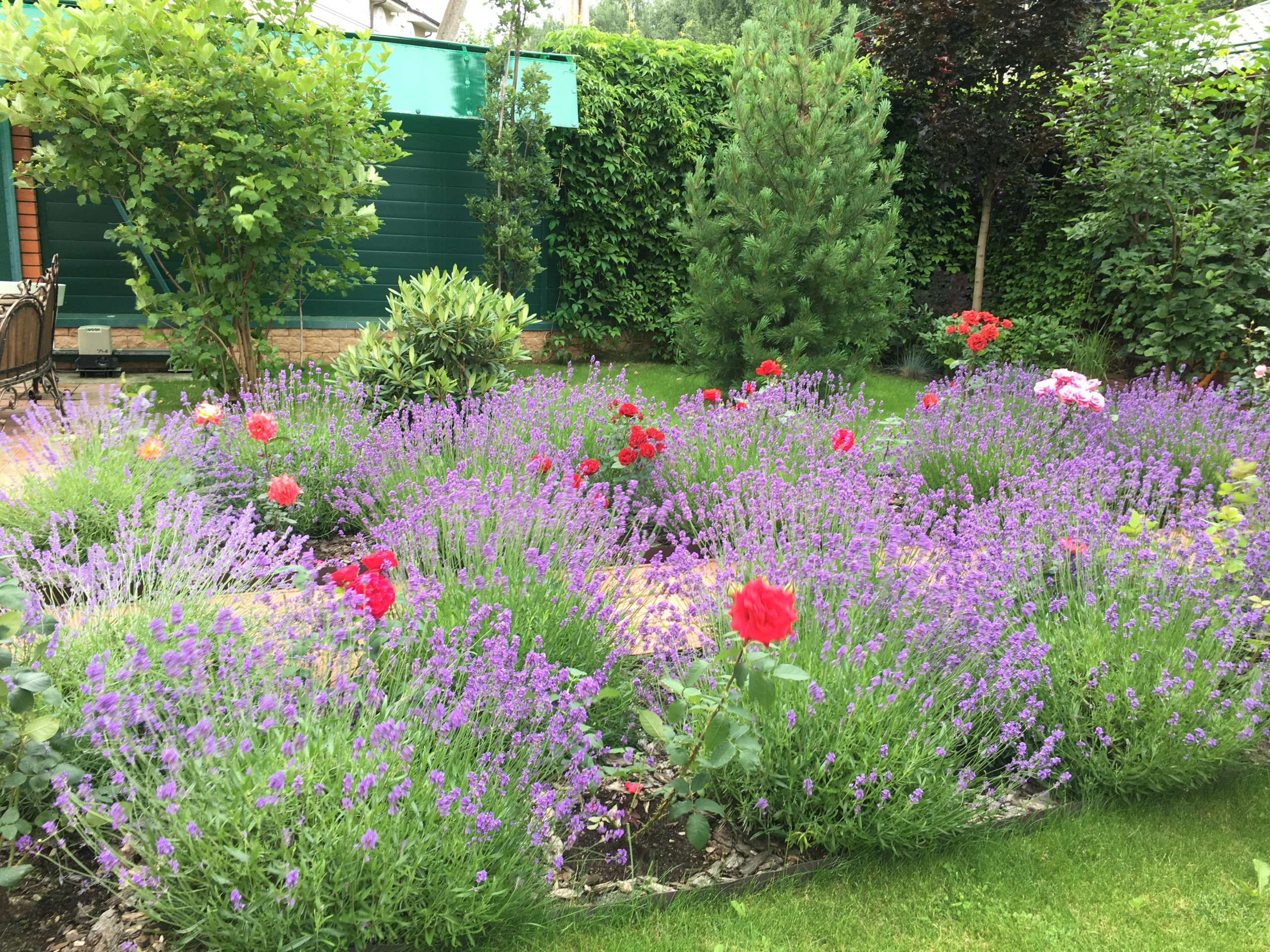 В гостях: Садик в подмосковных Рыбаках — как во Франции