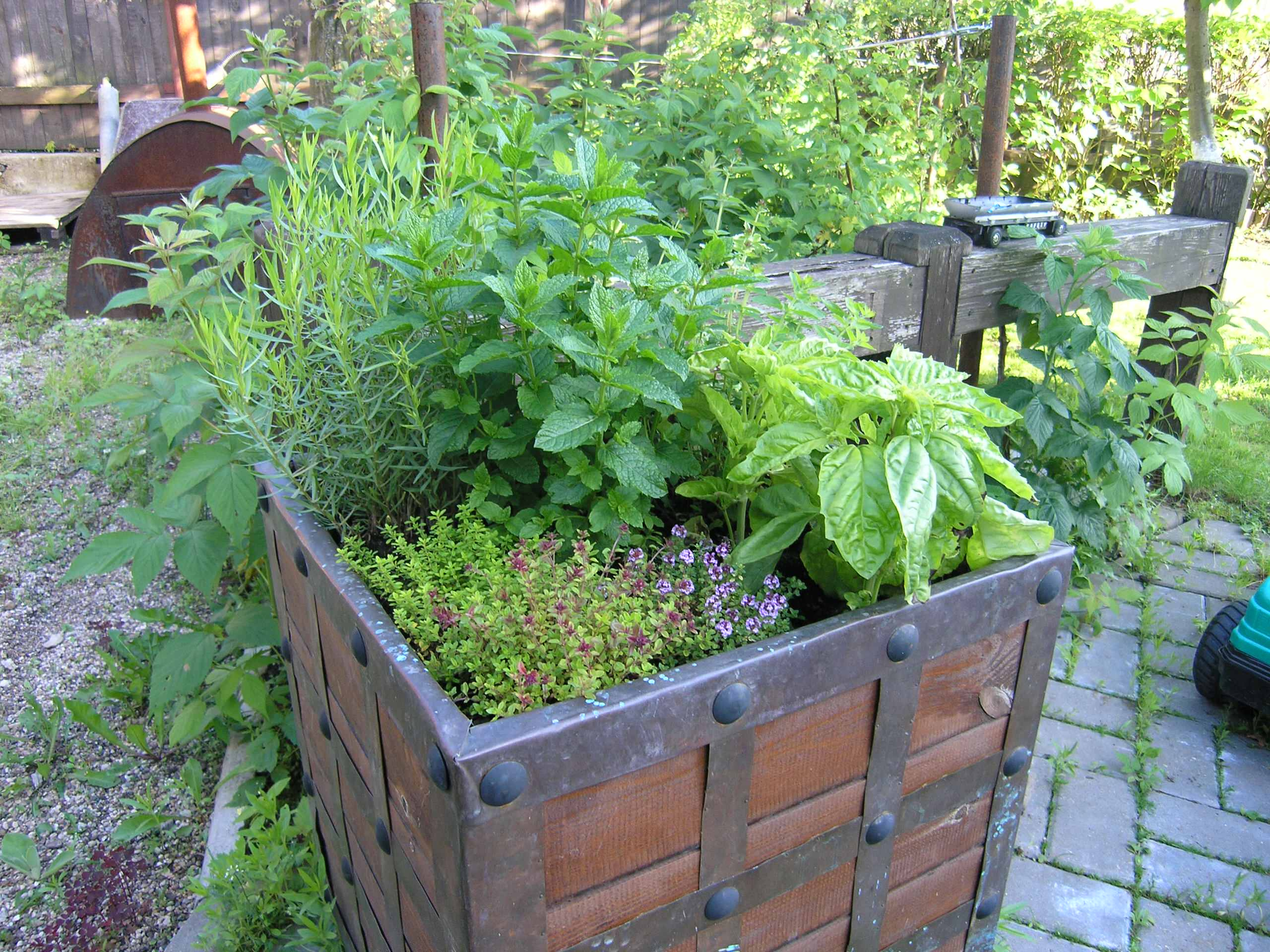 Как правильно: Сделать декоративный огород