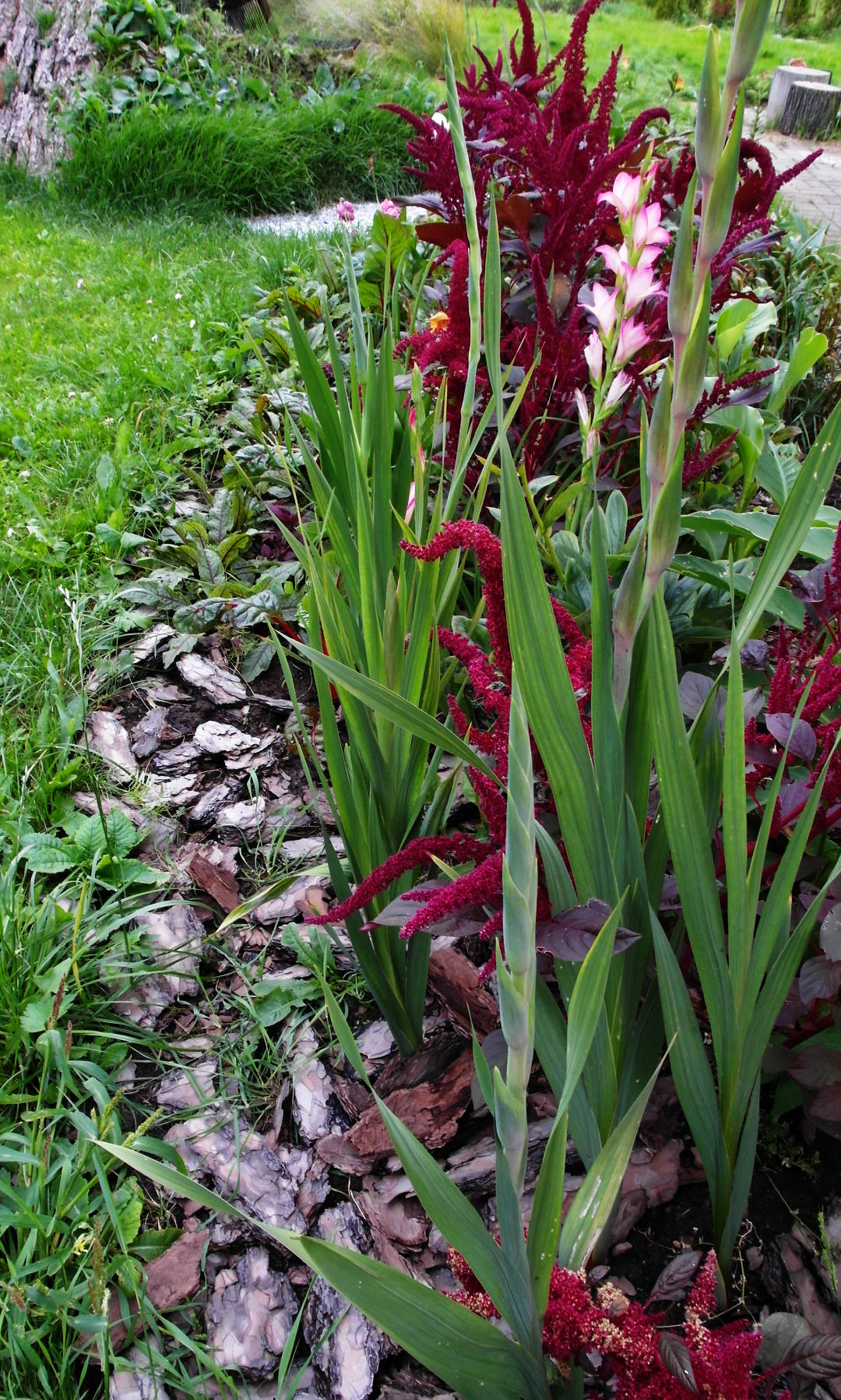 Что-то с чем-то: Как создавать композиции из растений