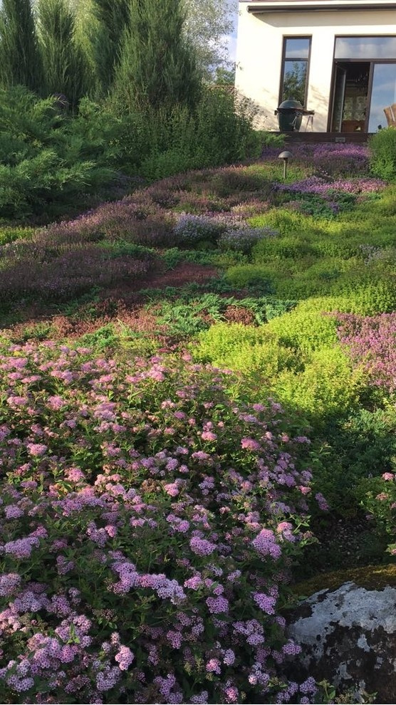 До и после: Сад с большим уклоном