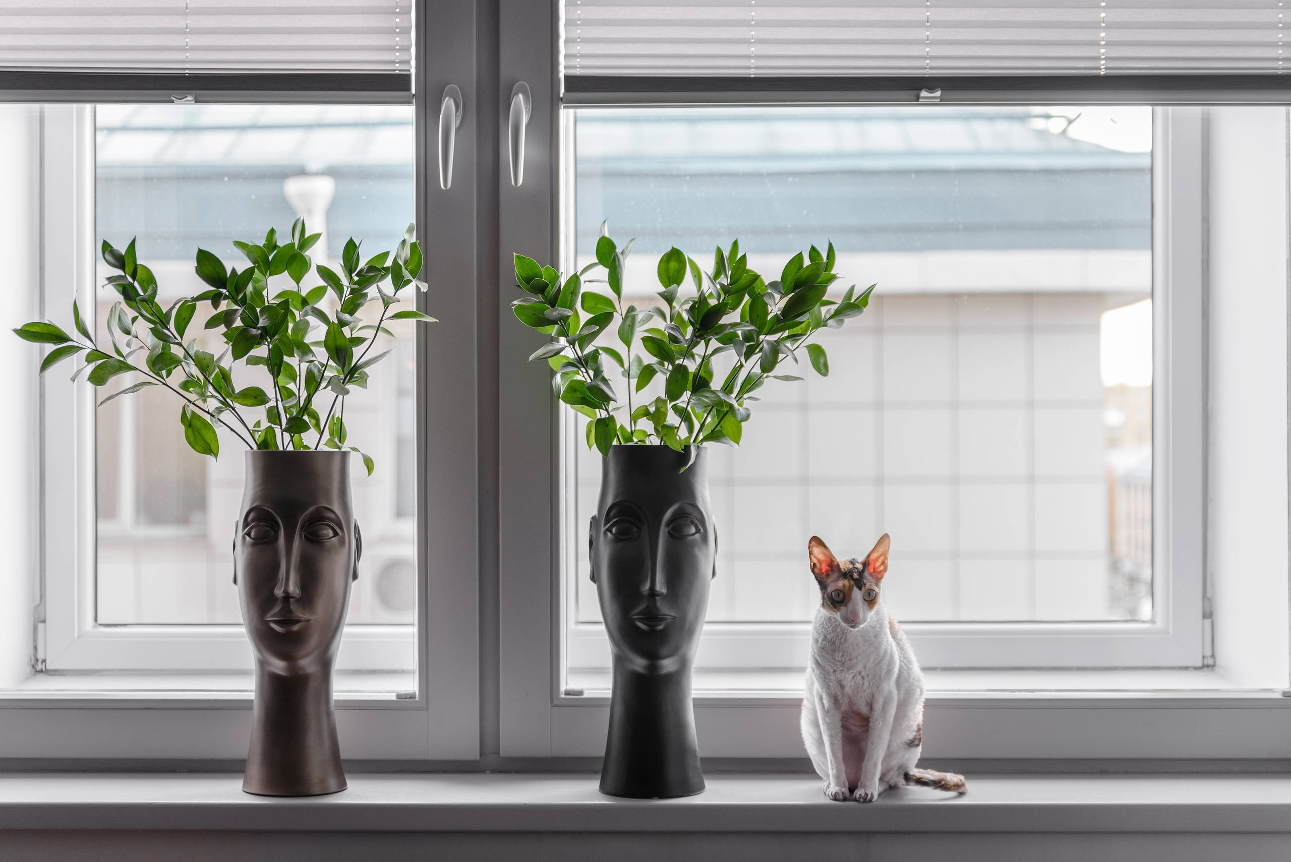 Houzz тур: «Голландская» квартира в Новосибирске