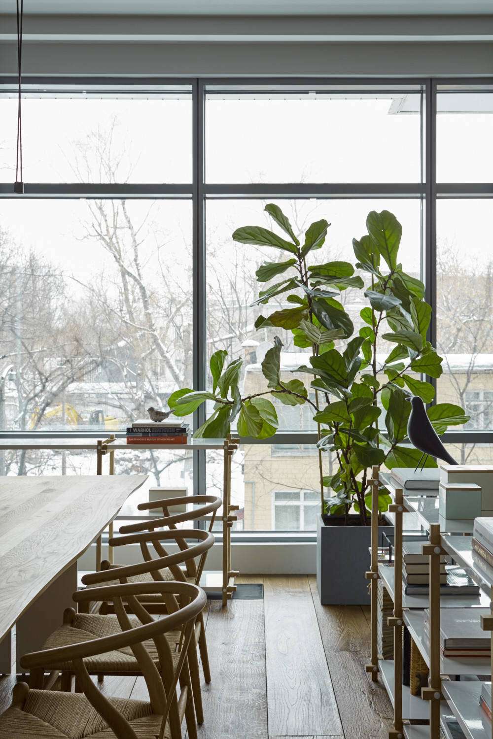 Вопрос: Как выбрать кашпо для больших растений