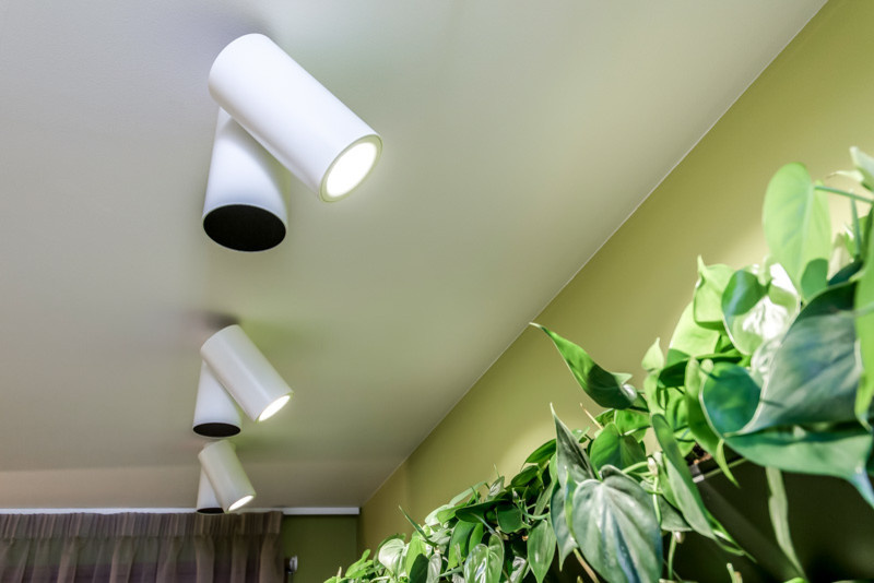 Освещение: Светодиодные лампы для дома — как выбрать