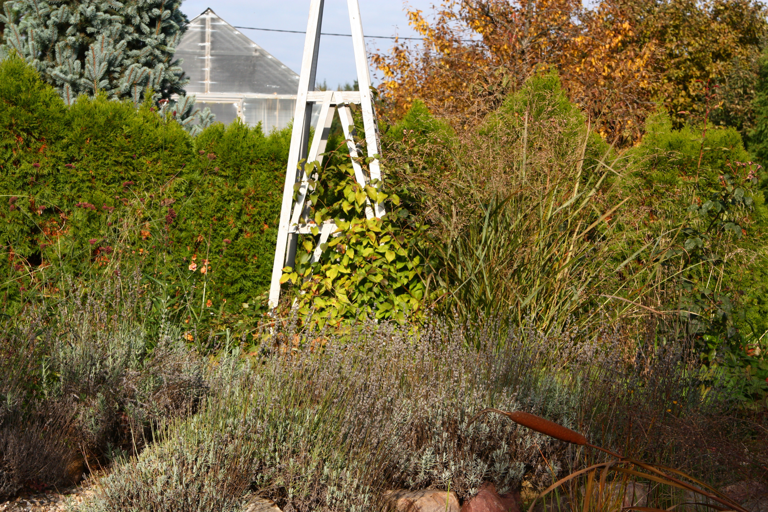 В гостях: Уютный сад с прудом на песках от выгоревшего торфа