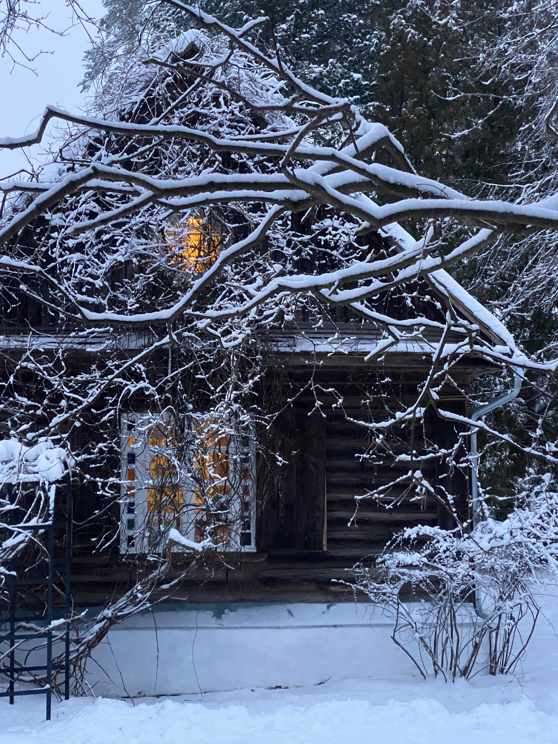 Как украсить дом к Новому году: Пример декоратора Жени Ждановой