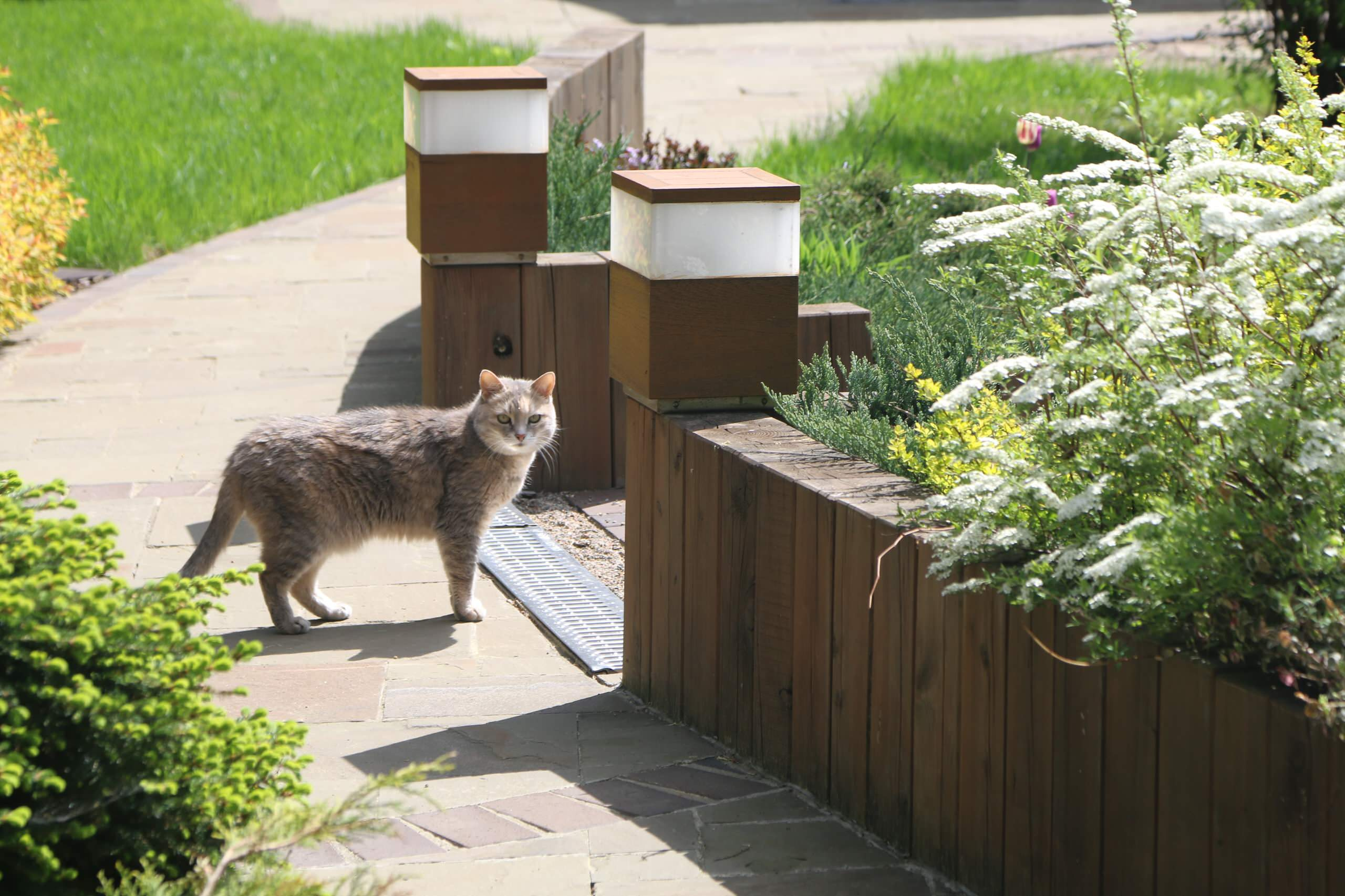 Проект недели: Сад на 12 сотках с солнечными часами