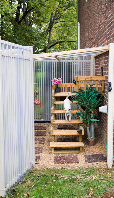 Задача дизайнеру: 8 неожиданных запросов от хозяев животных