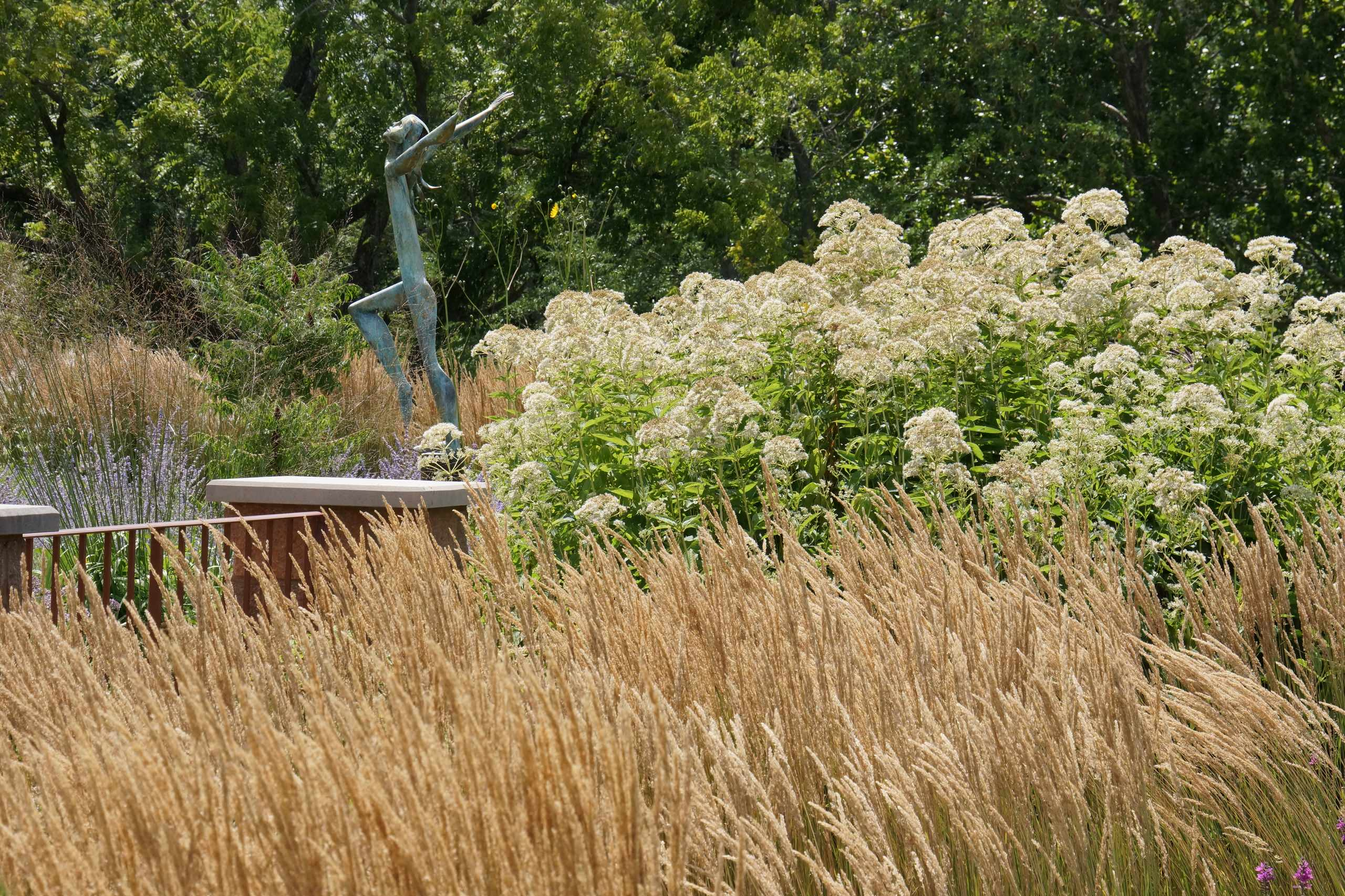 Зачем вам: Миксбордер с растениями в человеческий рост