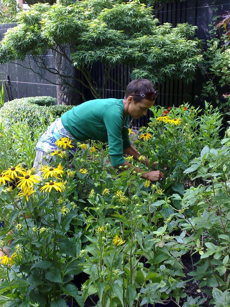 Осенний сад: Планируем цветник будущего года