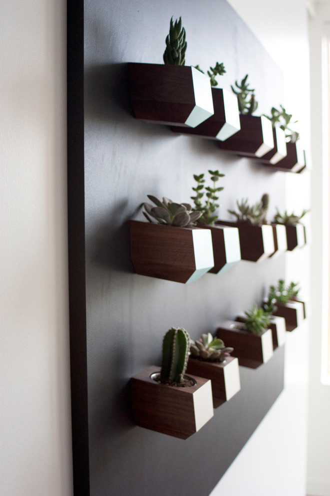 Дизайн-дебаты: Какими растениями украшать жилой интерьер