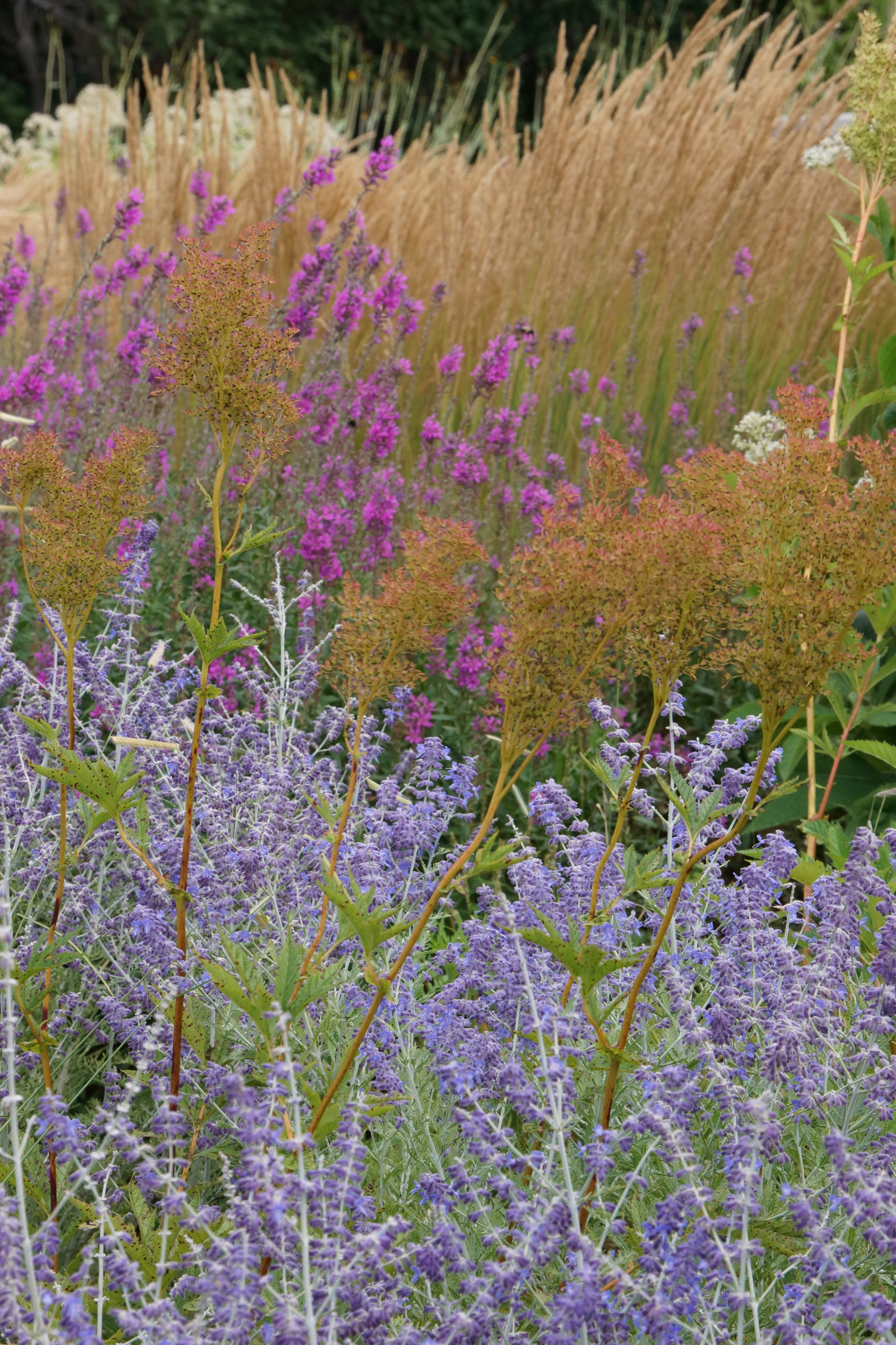 Зачем вам: Миксбордер с растениями в человеческий рост