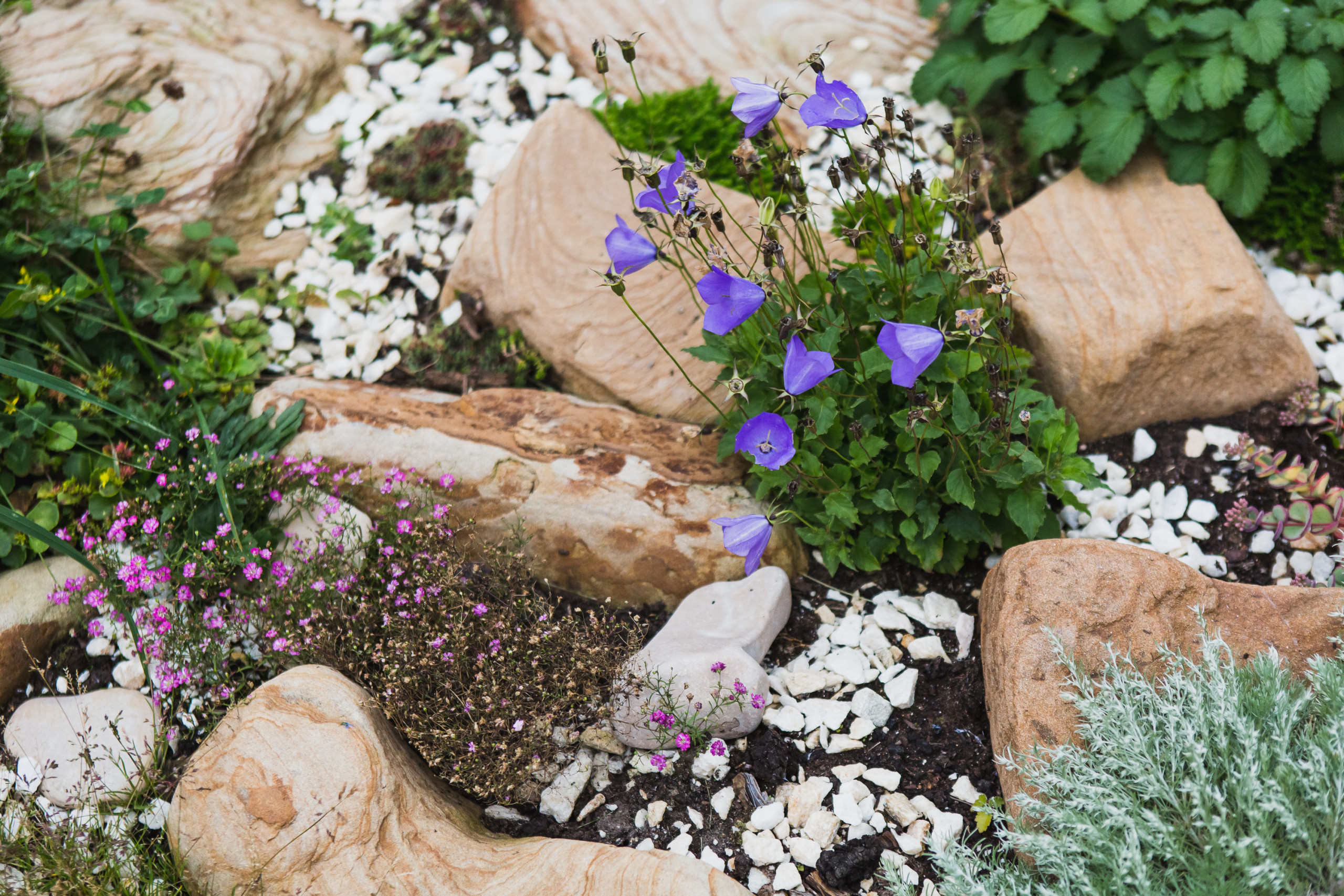 В гостях: Экодом в центре Новой Москвы взамен квартиры