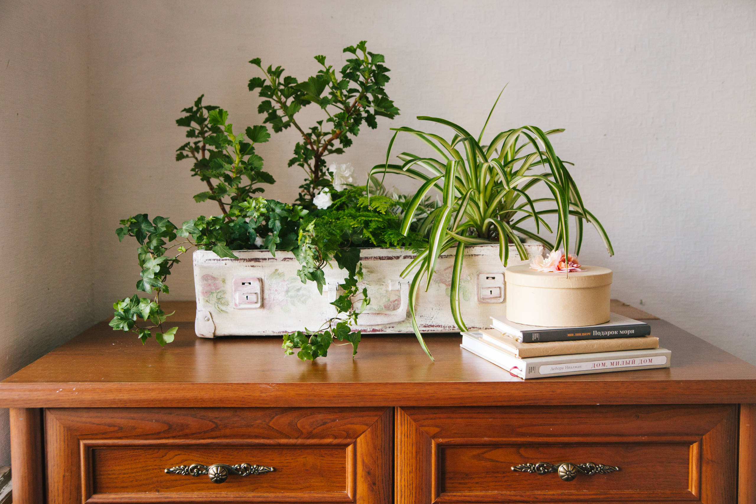 DIY: Кашпо для цветов из чемодана