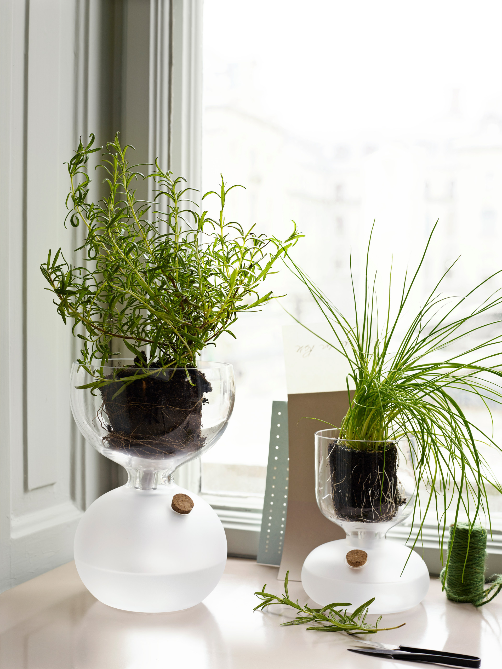 Дизайн-дебаты: Есть ли тренды в комнатных растениях