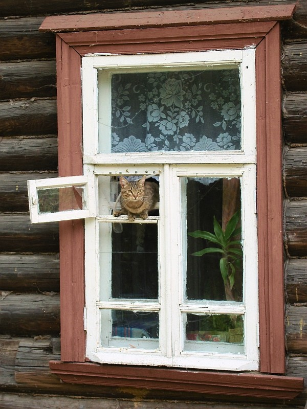 Вопрос: Как сделать форточку в пластиковом окне