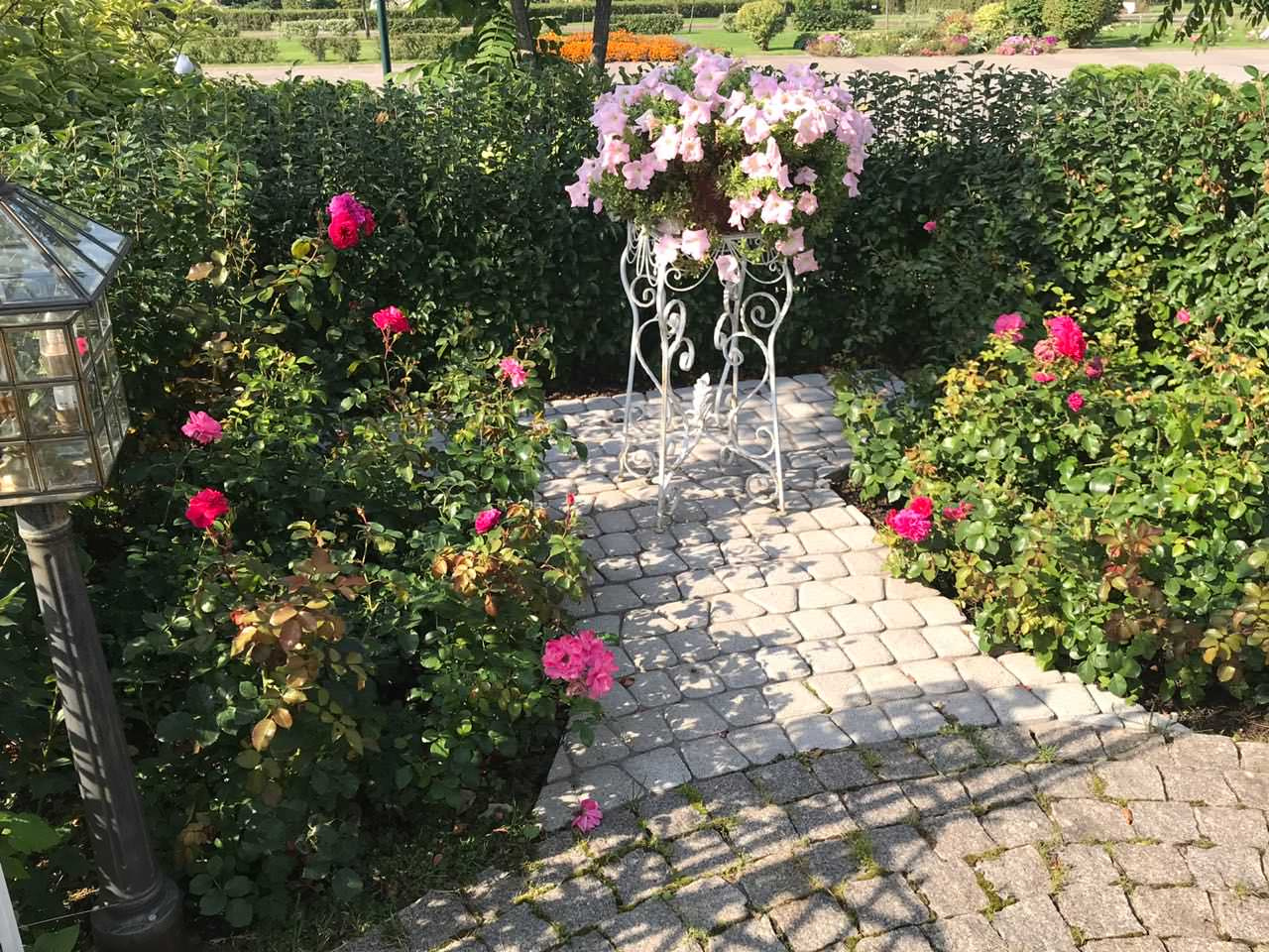 В гостях: Подмосковный сад со средиземноморским характером