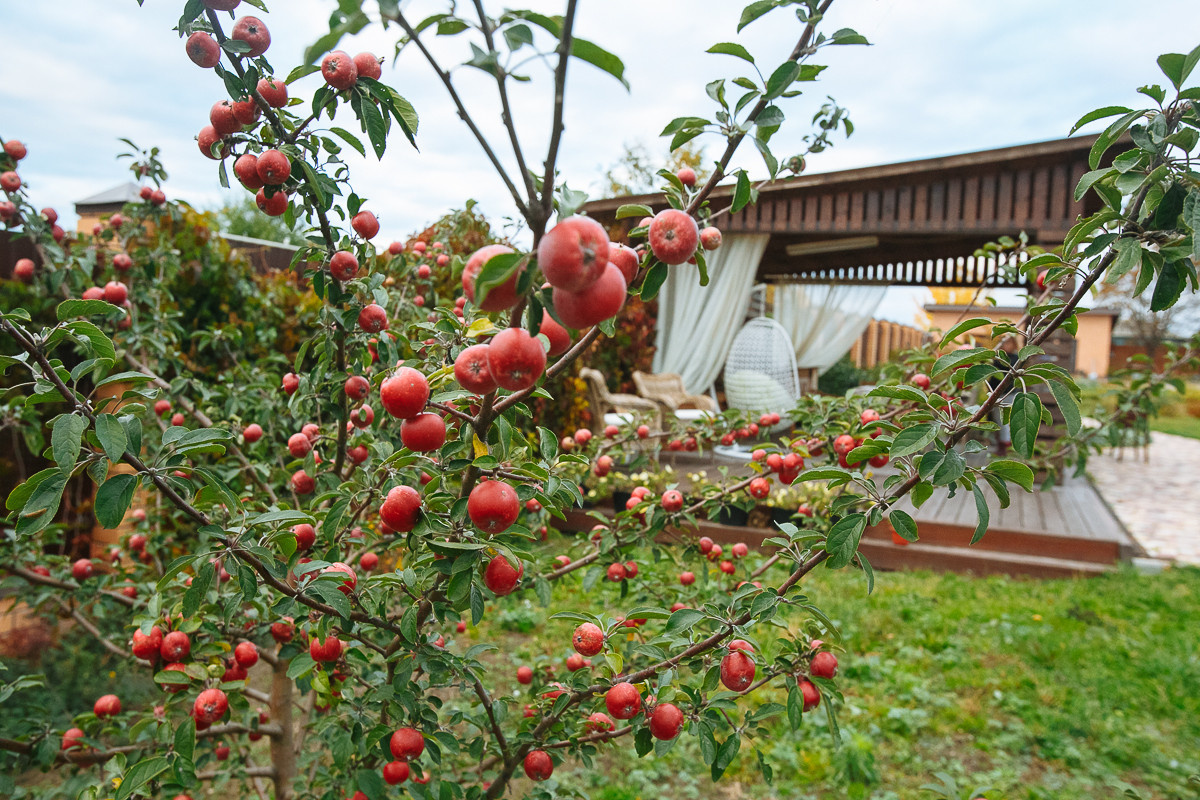 Проект недели: Пестрый сад в Рязанской области