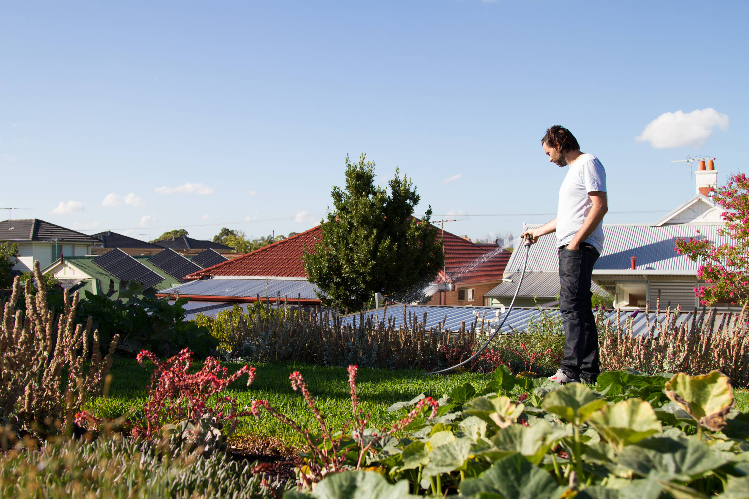 Фотоохота: 81 идея обустройства крыши на летний период