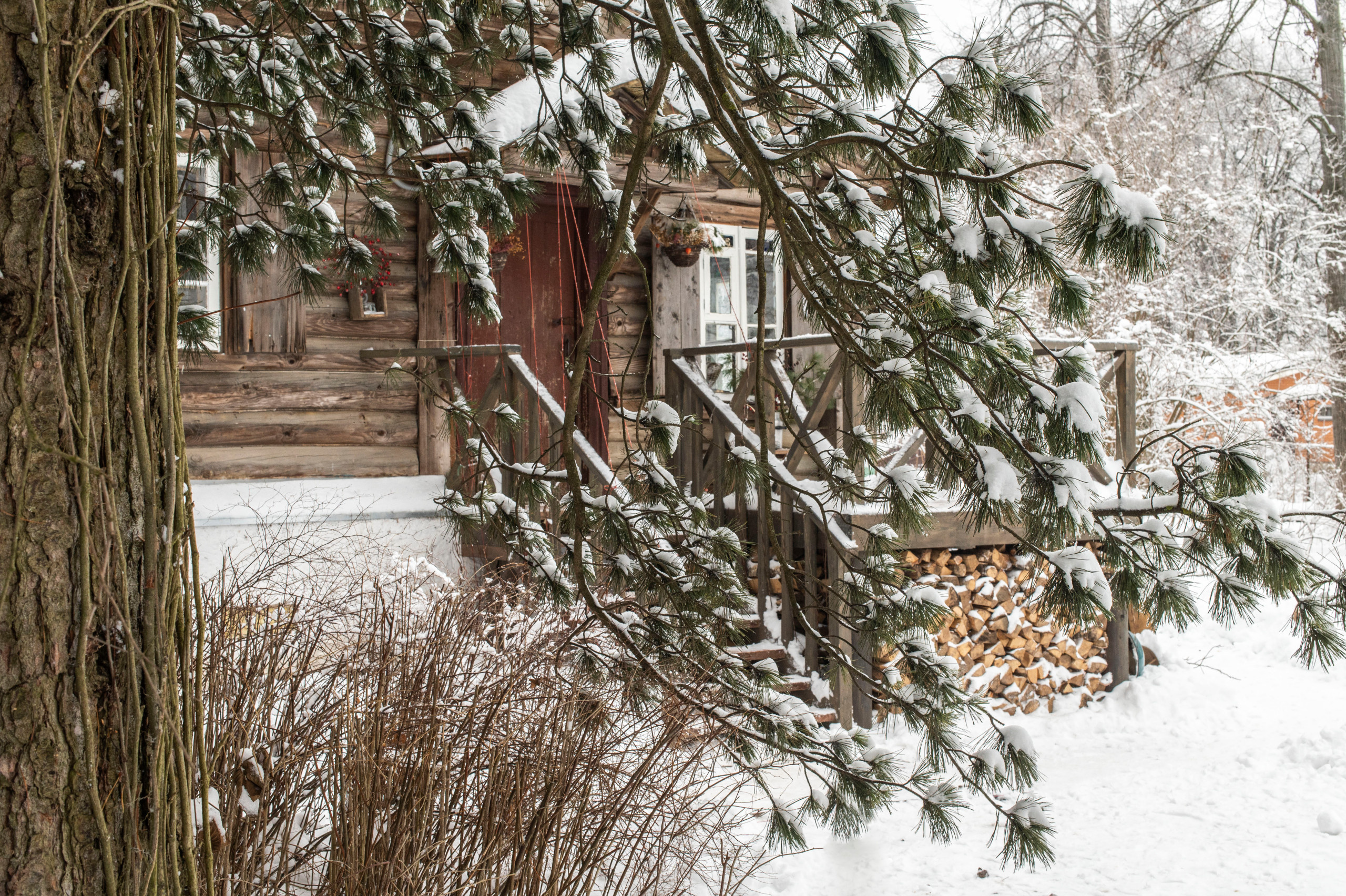 Как украсить дом к Новому году: Пример декоратора Жени Ждановой