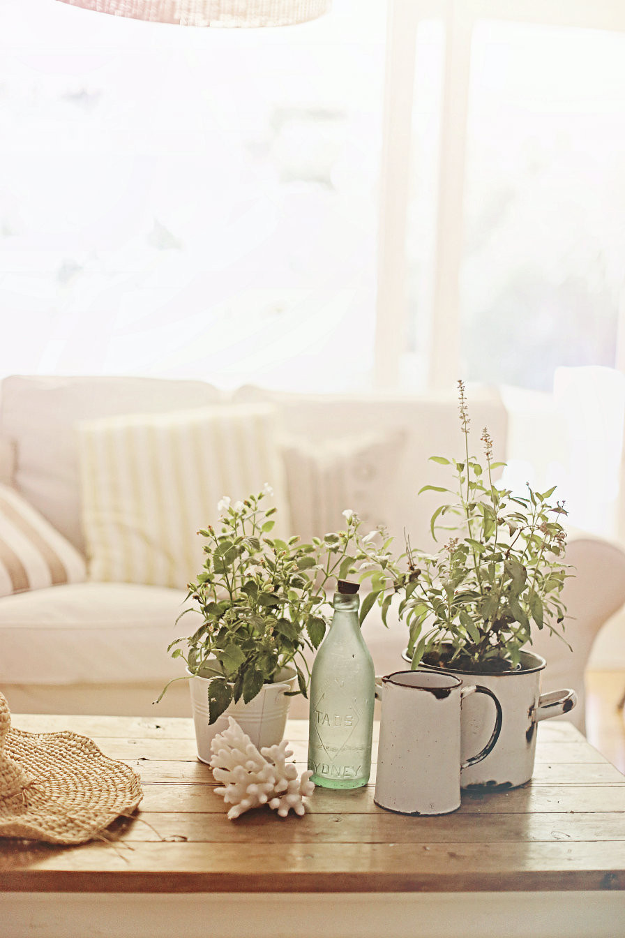 Весна идет: Как создать настроение зеленого сада в доме