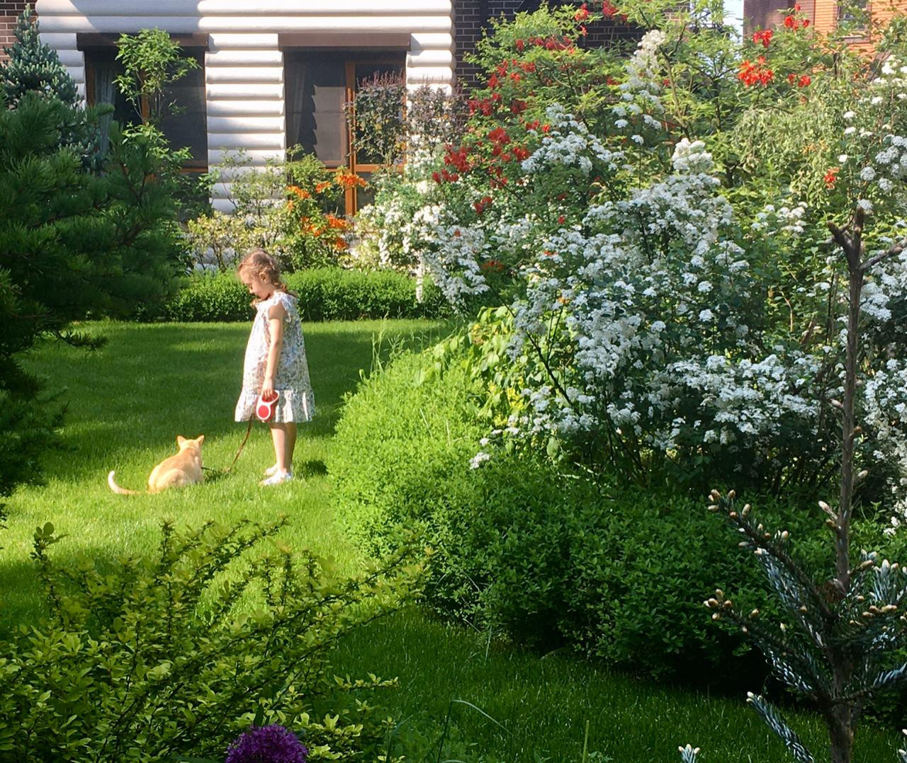 В гостях: Сад на 14 сотках, где живут круглый год