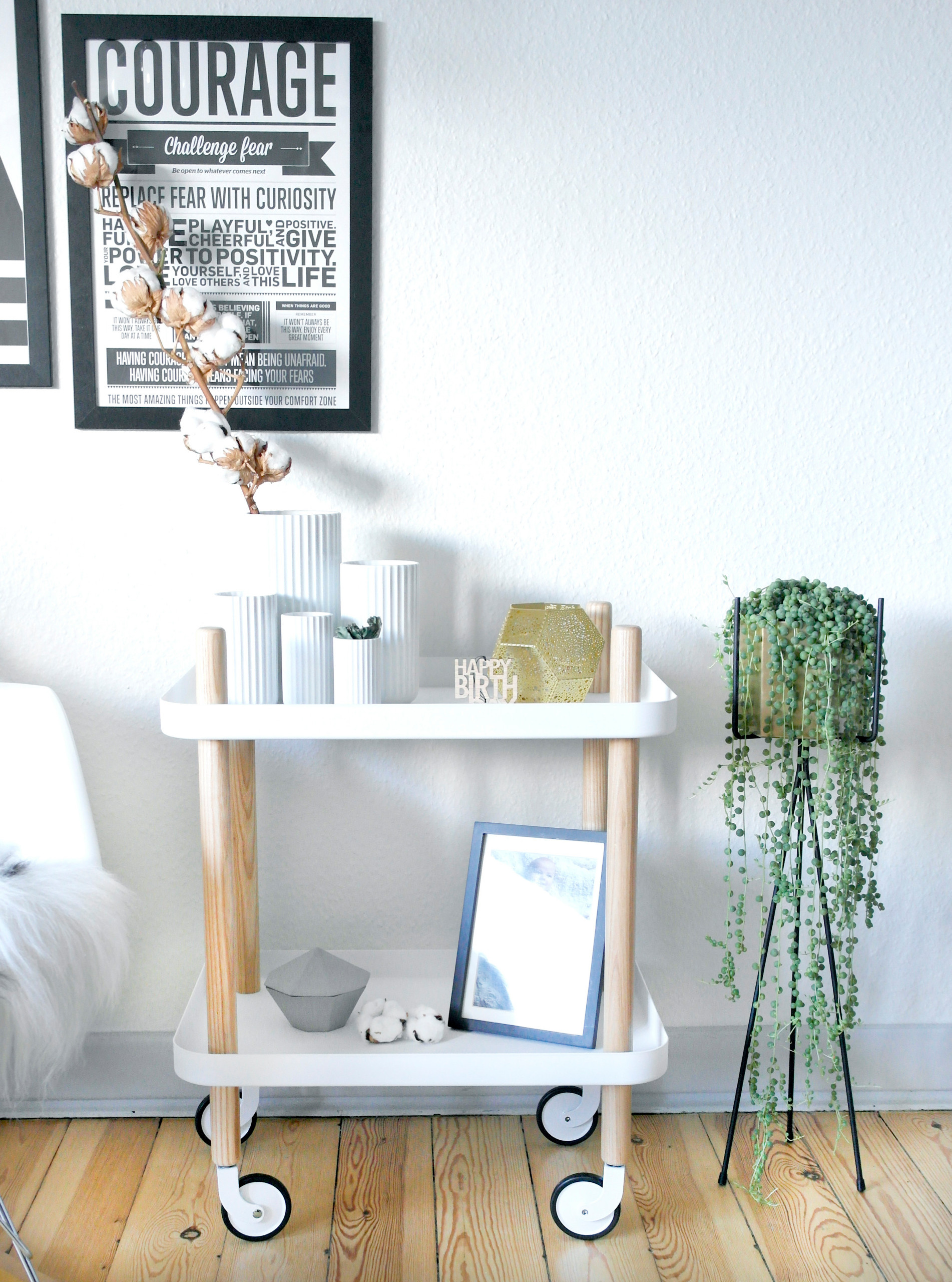 Тайный фэншуй: Какие растения в доме держать не стоит