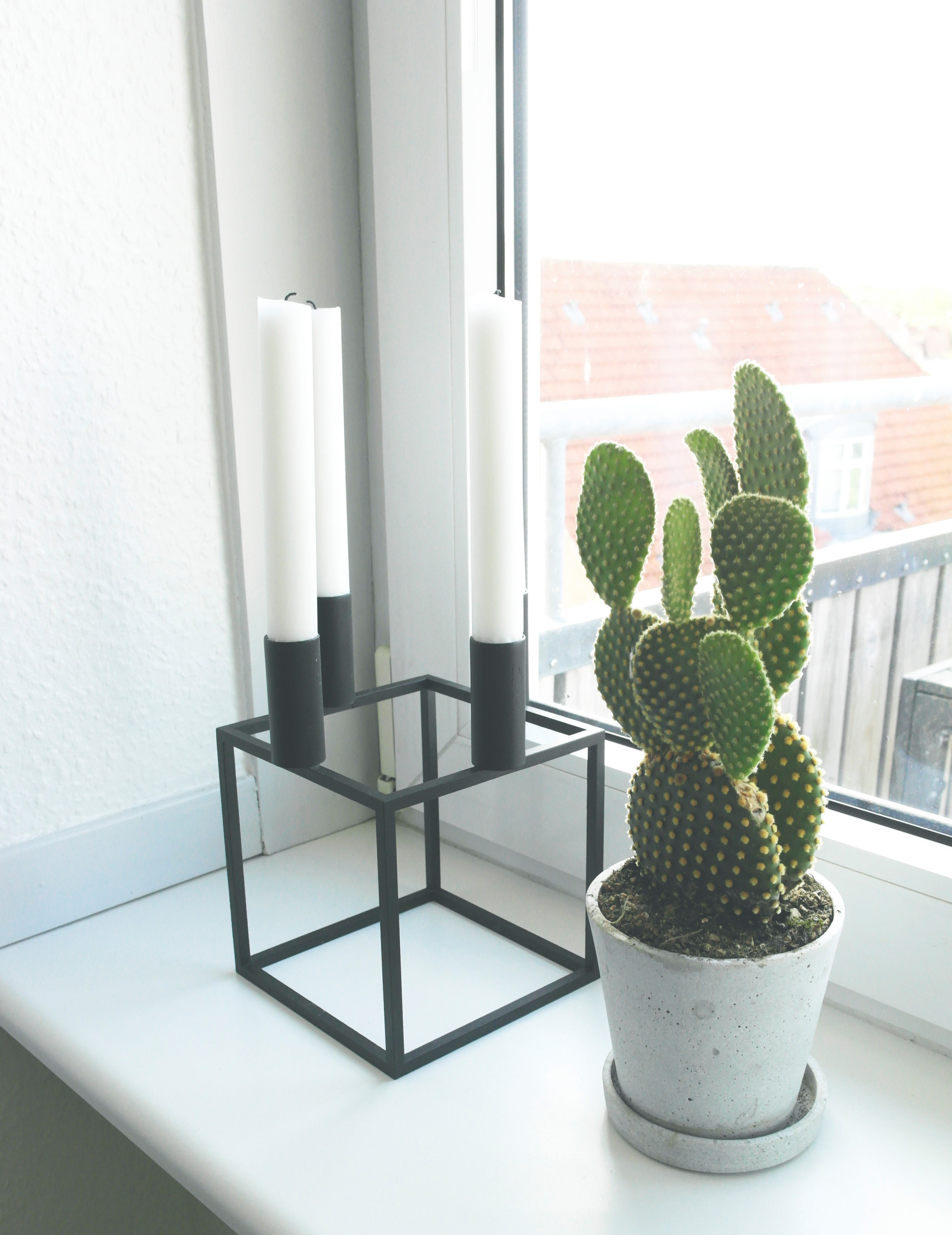 Дизайн-дебаты: Есть ли тренды в комнатных растениях