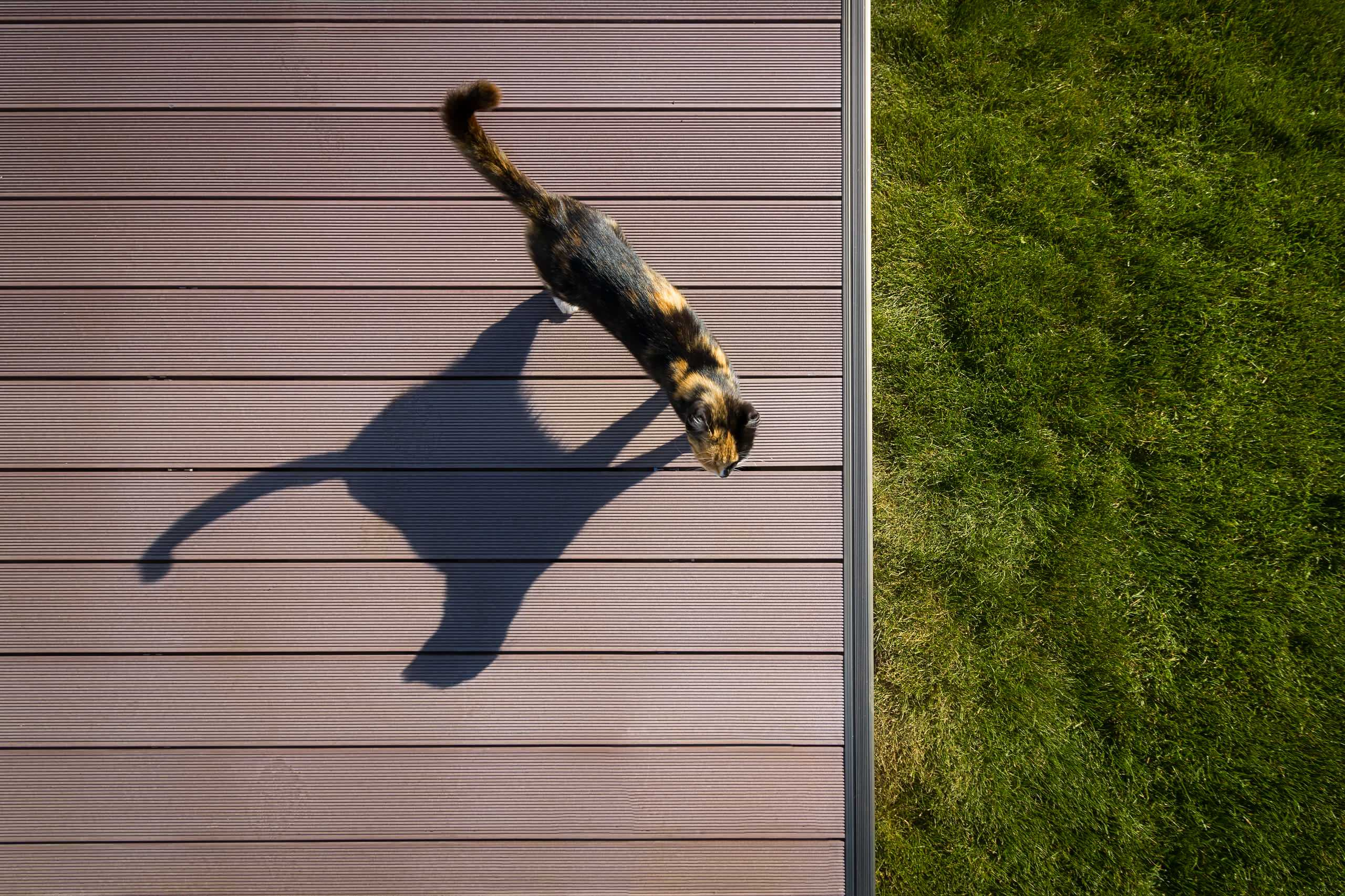 Архитектура: Дом у озера в Башкирии