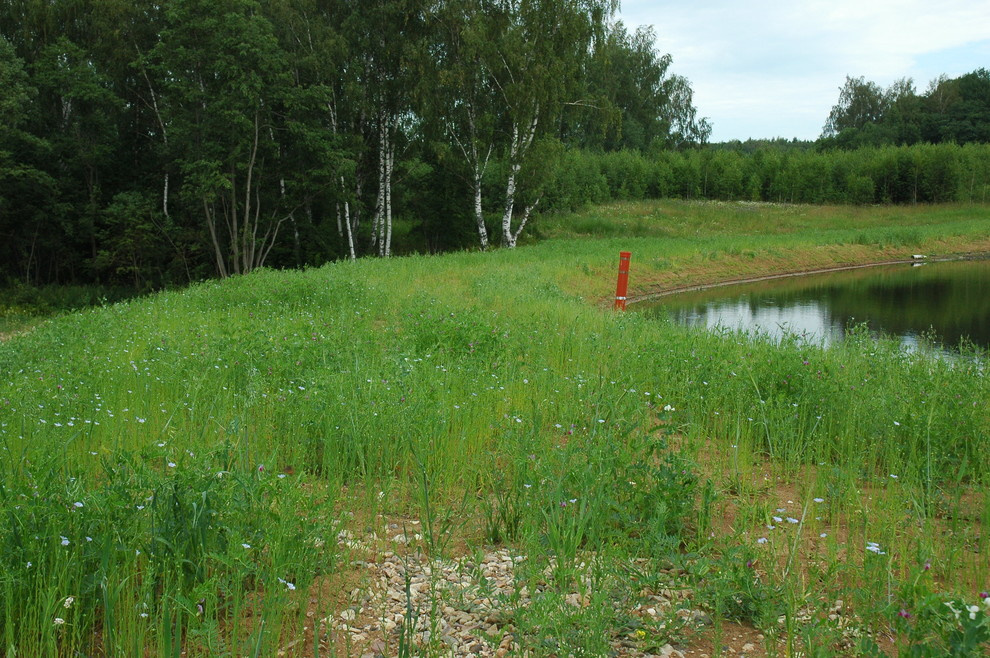 Пермакультура: Как использовать ее принципы на ваших 6 сотках