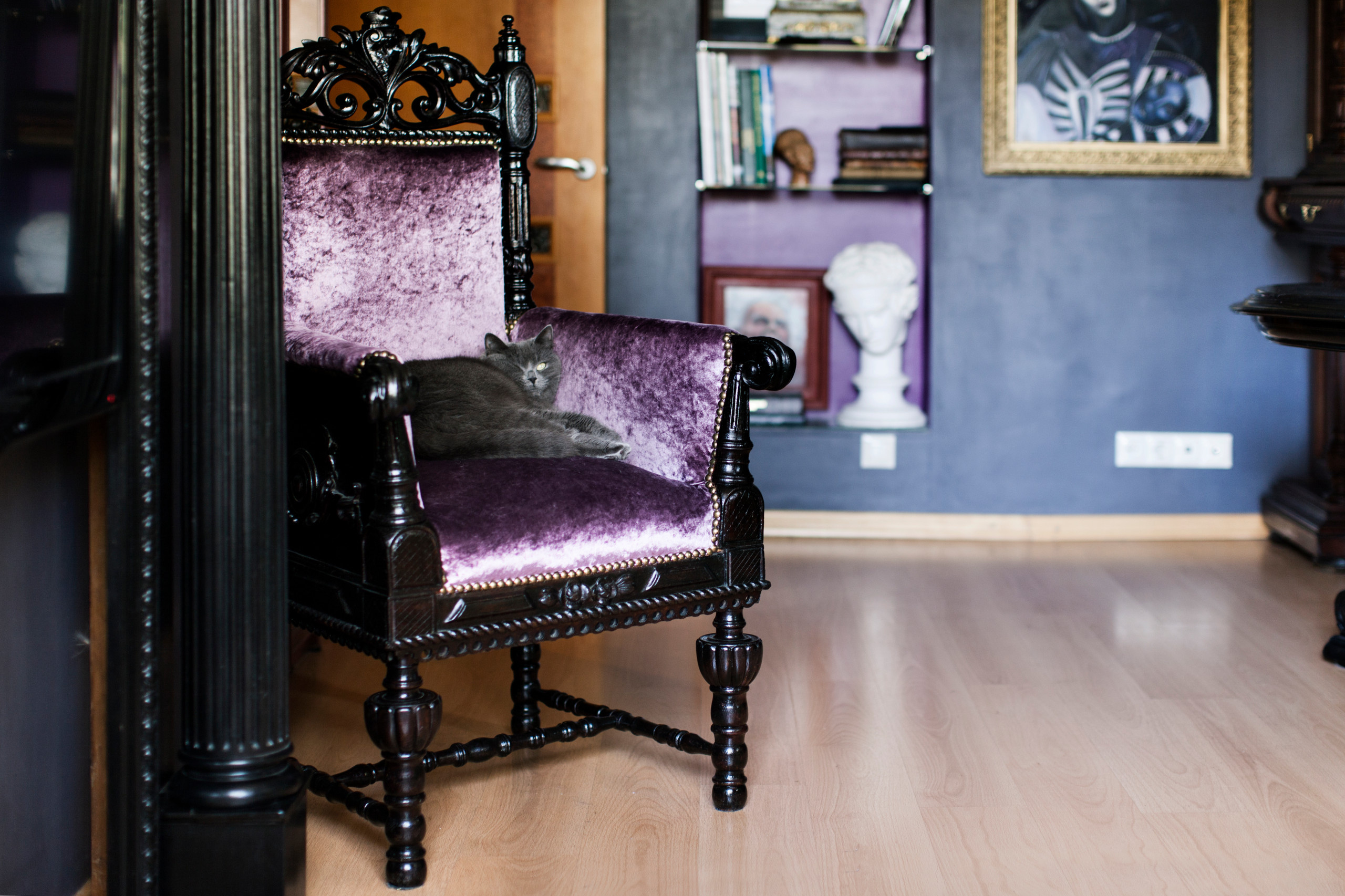 В гостях: Квартира культуролога с котами и антиквариатом