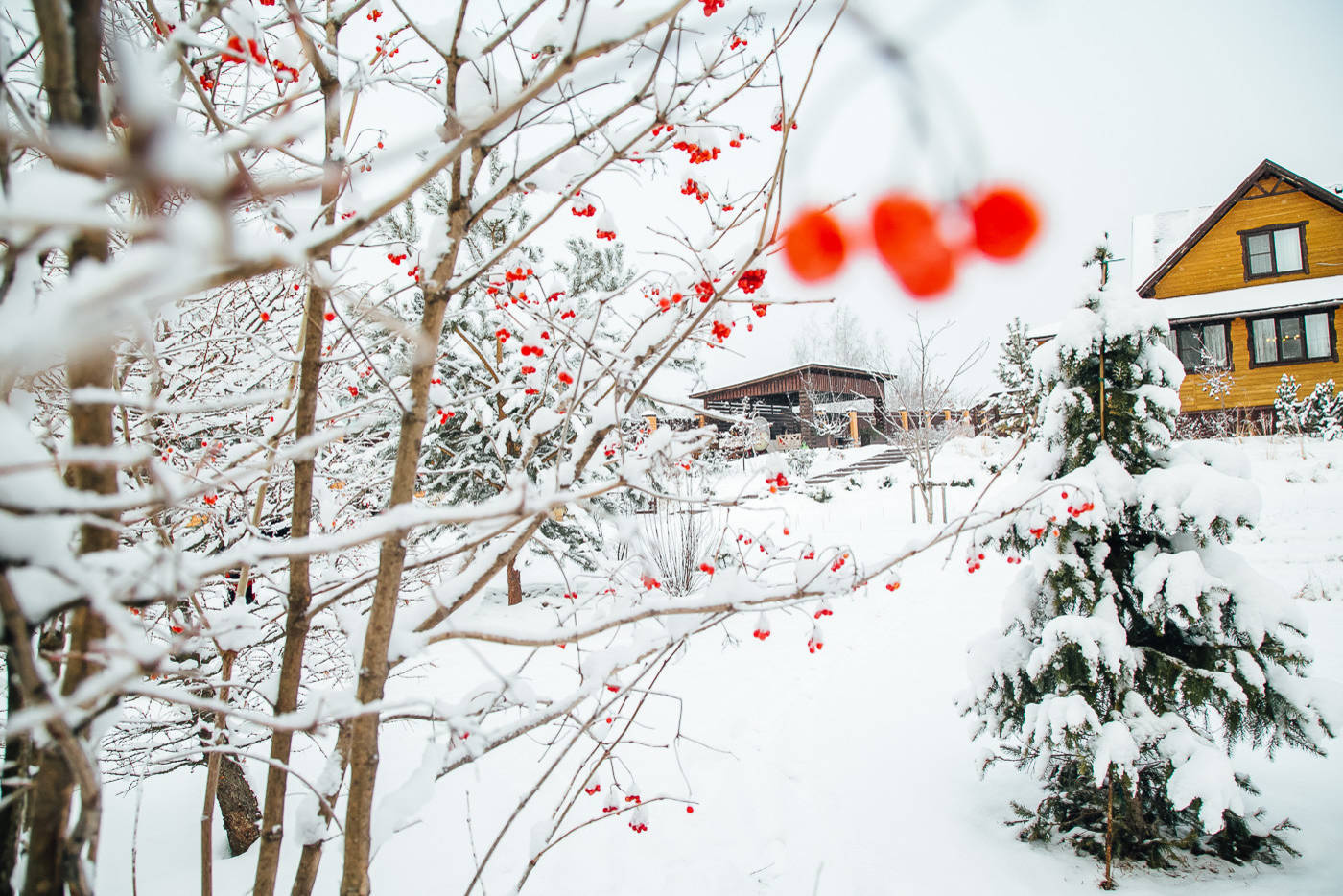 В гостях: Сад под Рязанью в ожидании праздника