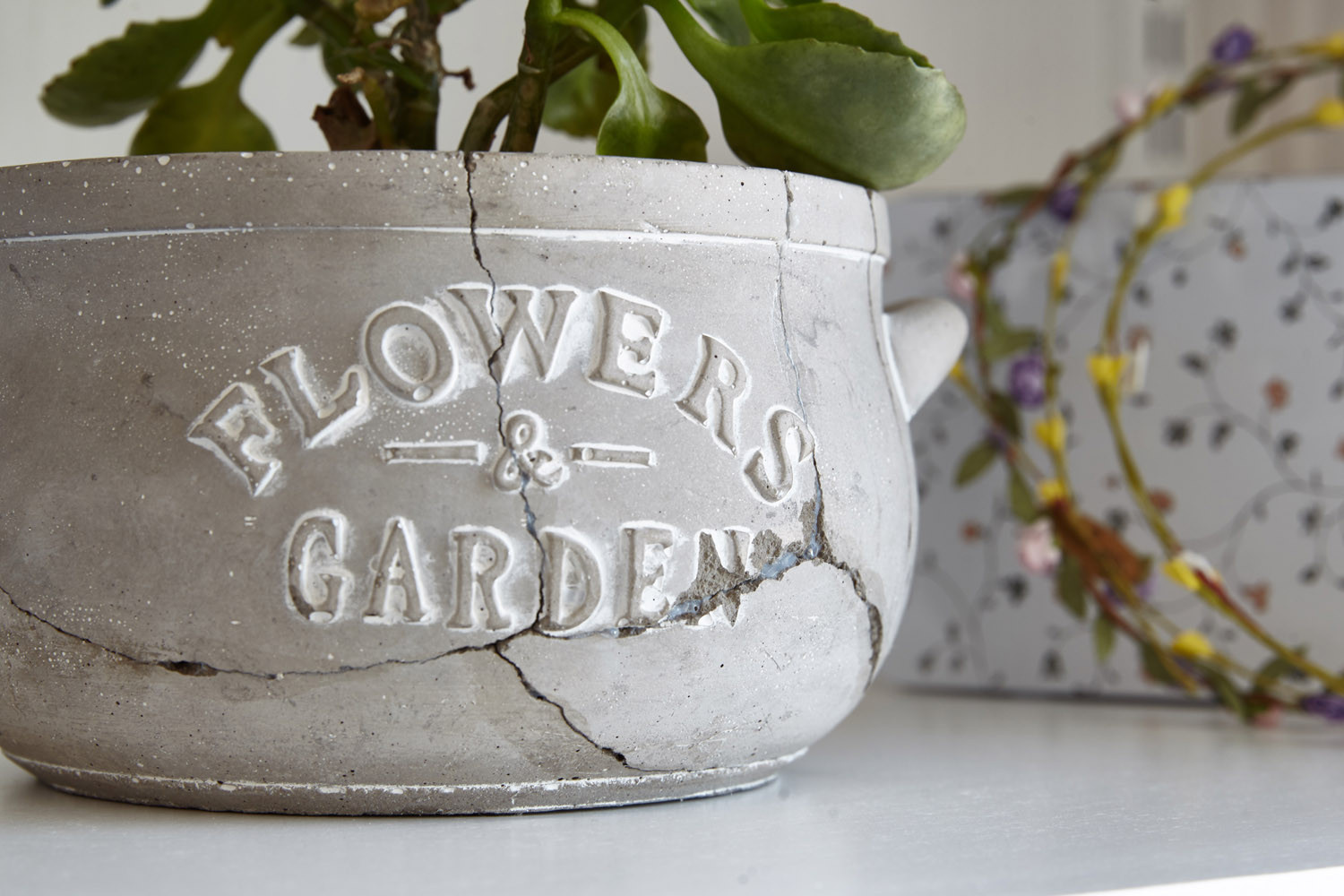 В гостях: Квартира в Екатеринбурге с настроением загородного дома