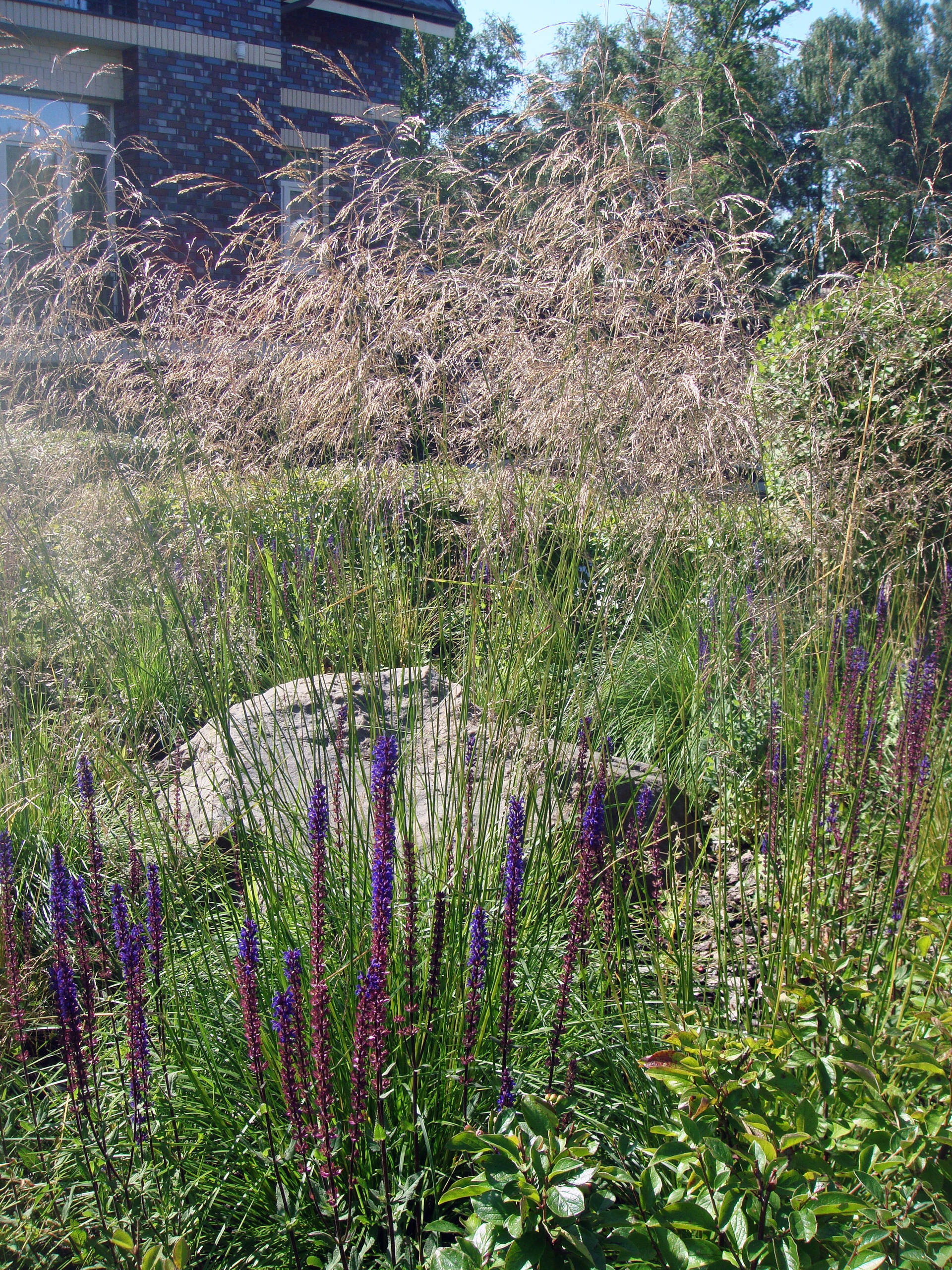 Планировка сада: Усадьба в голландском духе для 3 поколений семьи