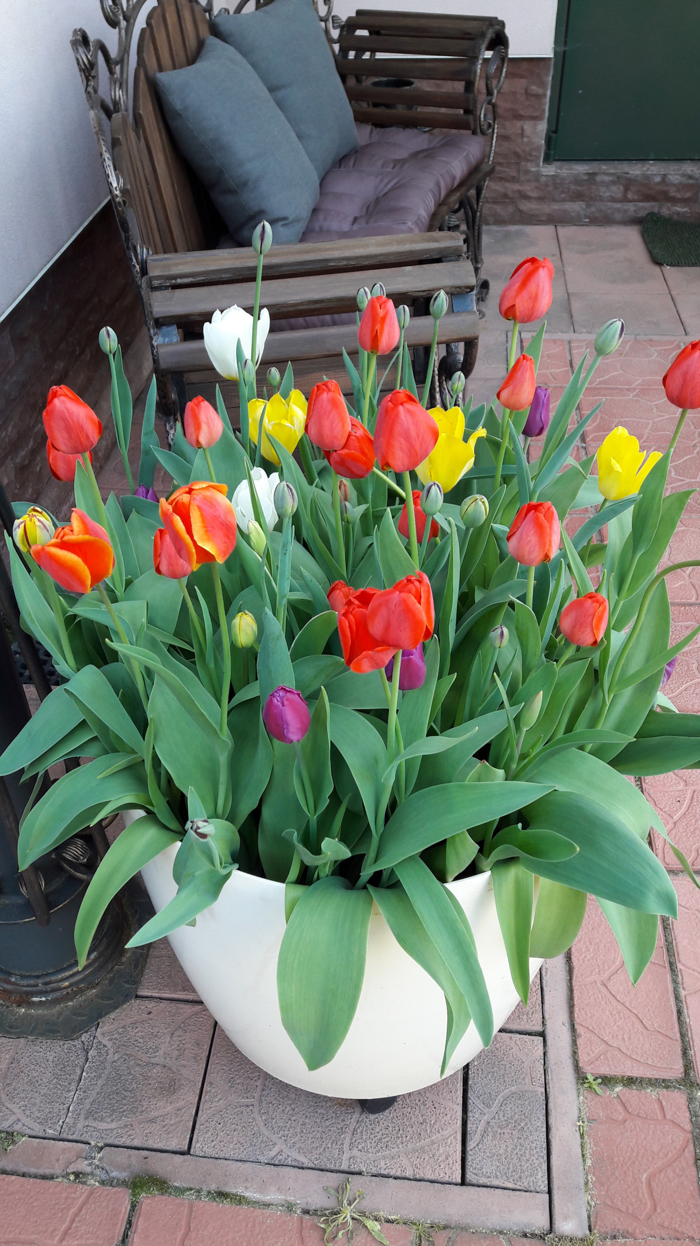 В гостях: Садик в подмосковных Рыбаках — как во Франции