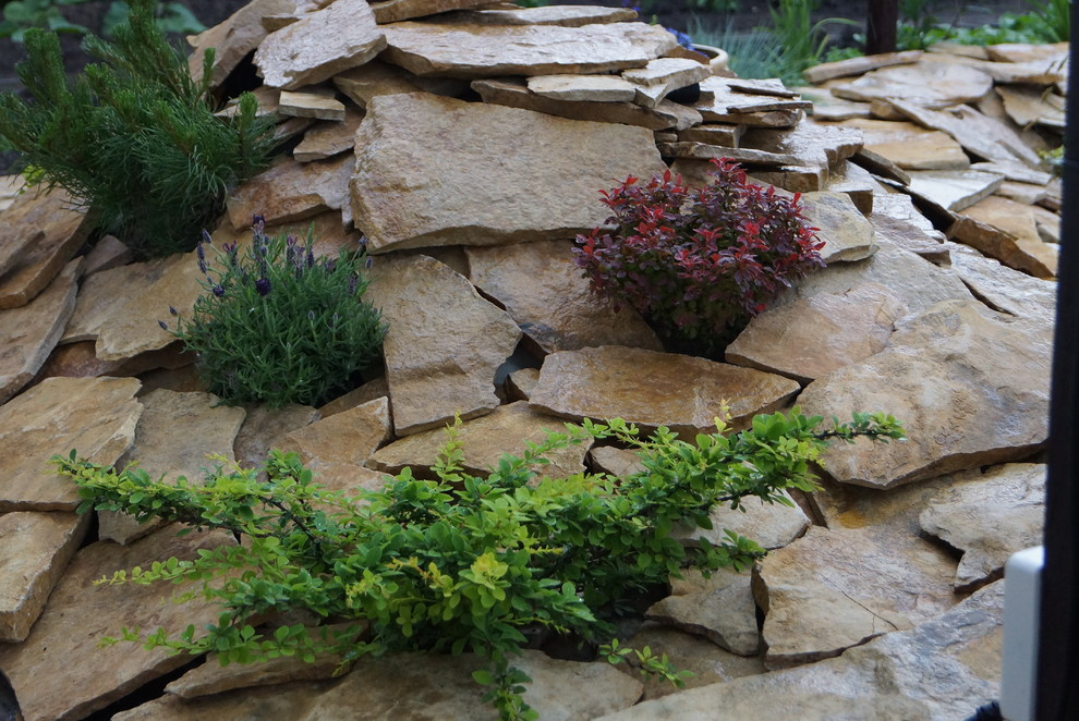 Houzz в саду: Дачный пруд в африканском стиле