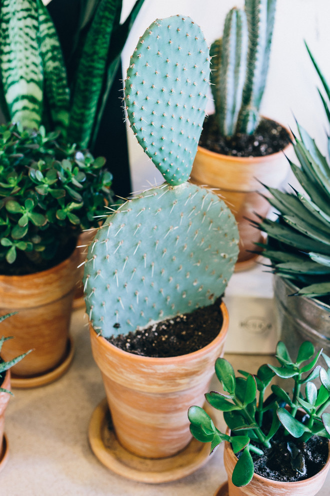 Houzz предсказание: Что вас ждет в интерьерном 2021 году?