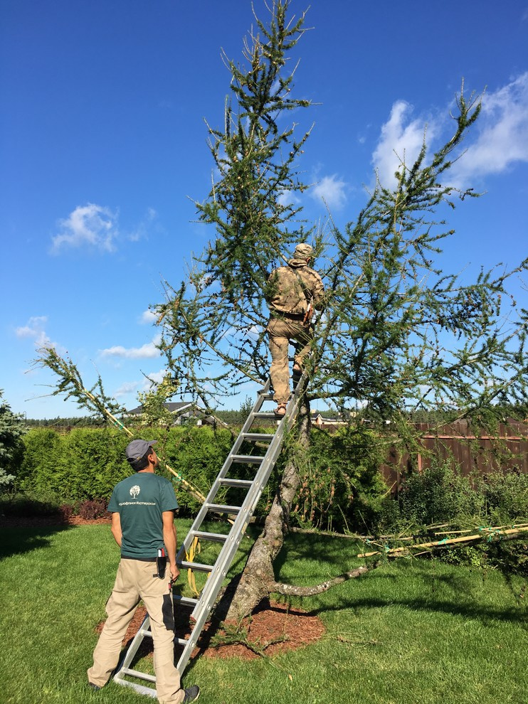 Проект недели: Сад, где любуются просторами от восхода до заката