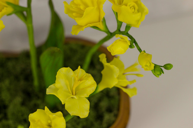 Микротренд: Мода на искусственные растения и цветы