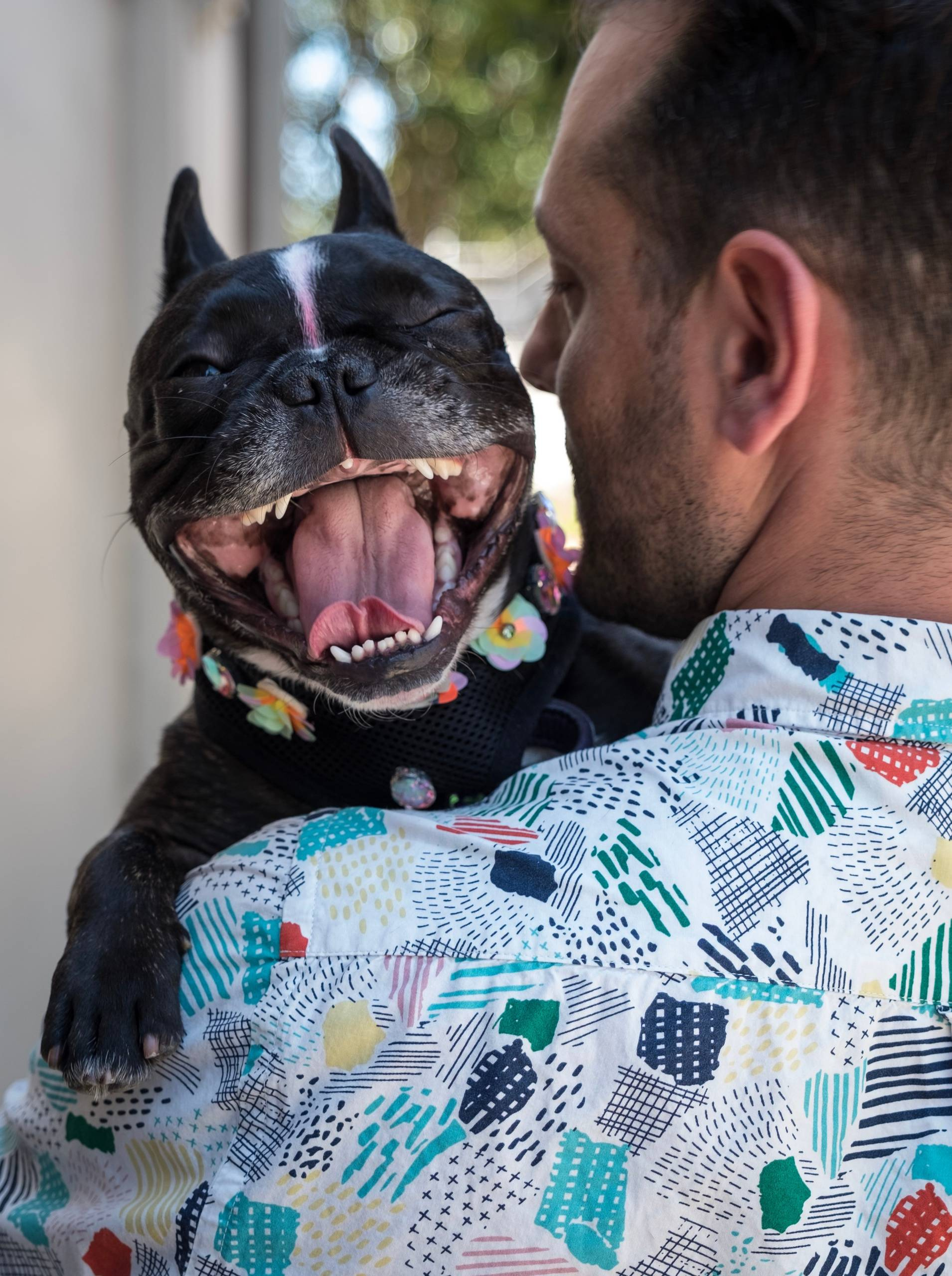 Разговор PRO: Идеальный клиент — это какой