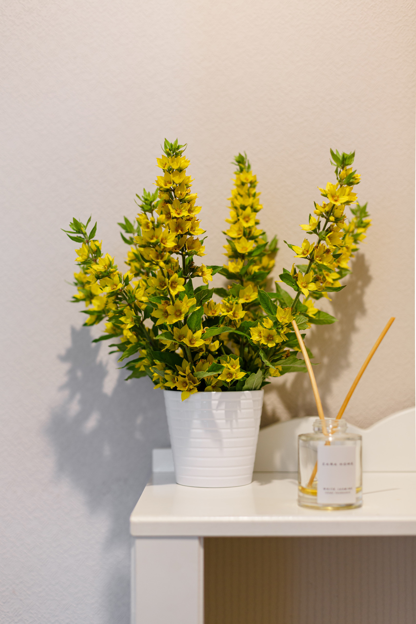 В гостях: Квартира в Казани, где встречают чак-чаком