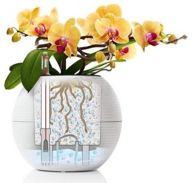 Четыре способа поливать цветы, когда вас нет дома