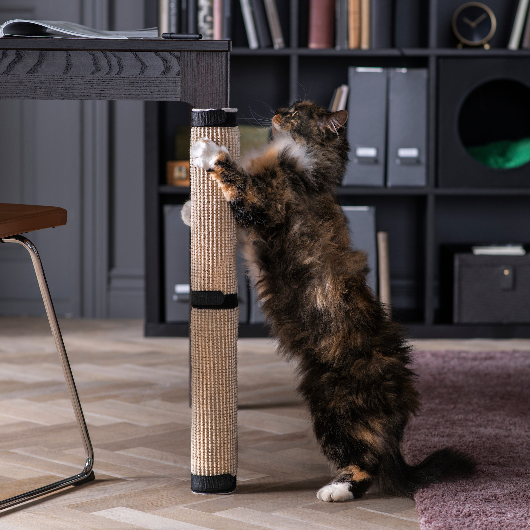 Почему не мне это пришло в голову: 20 идей в закладки