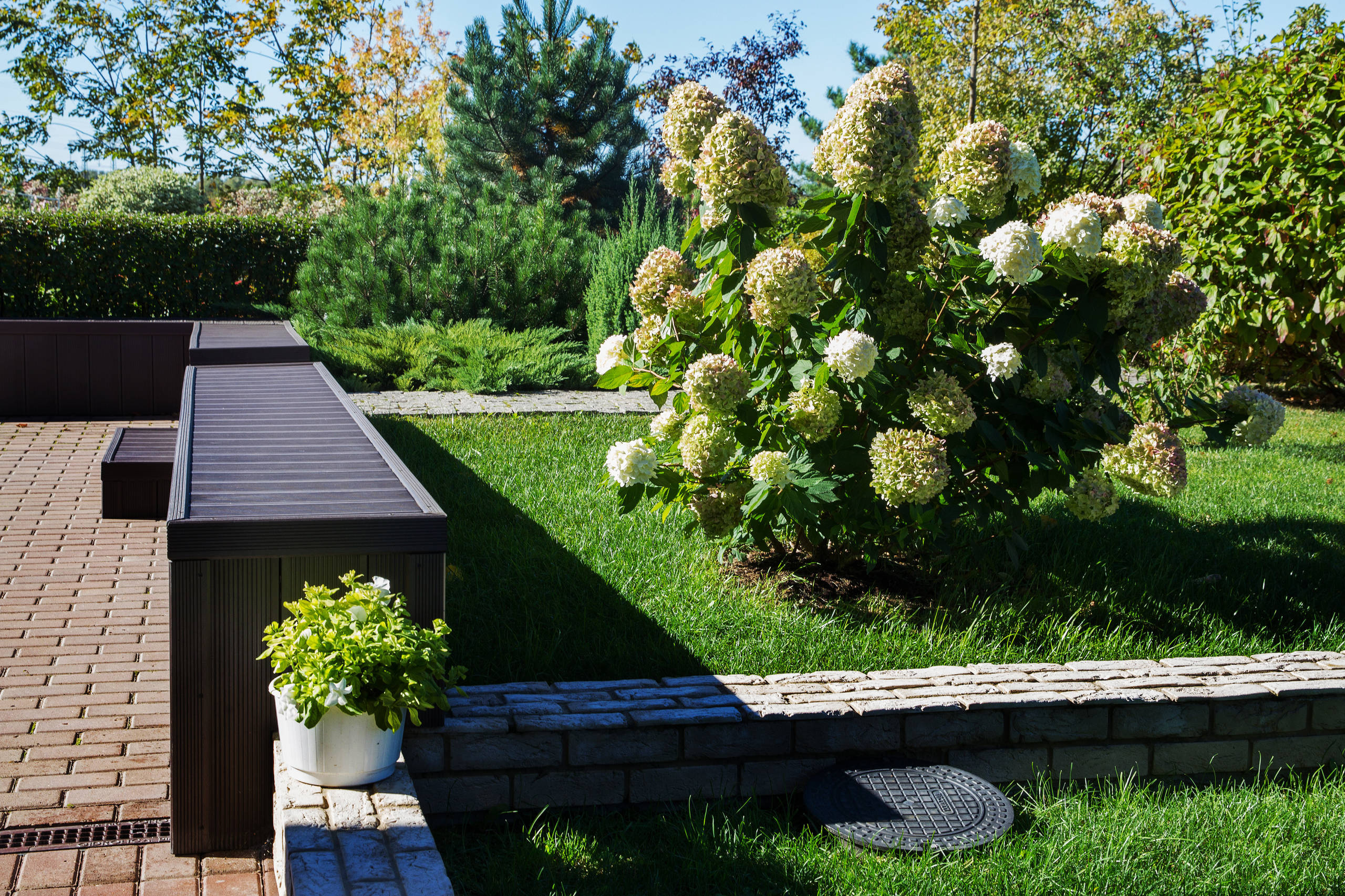 В гостях: Подмосковный сад со средиземноморским характером