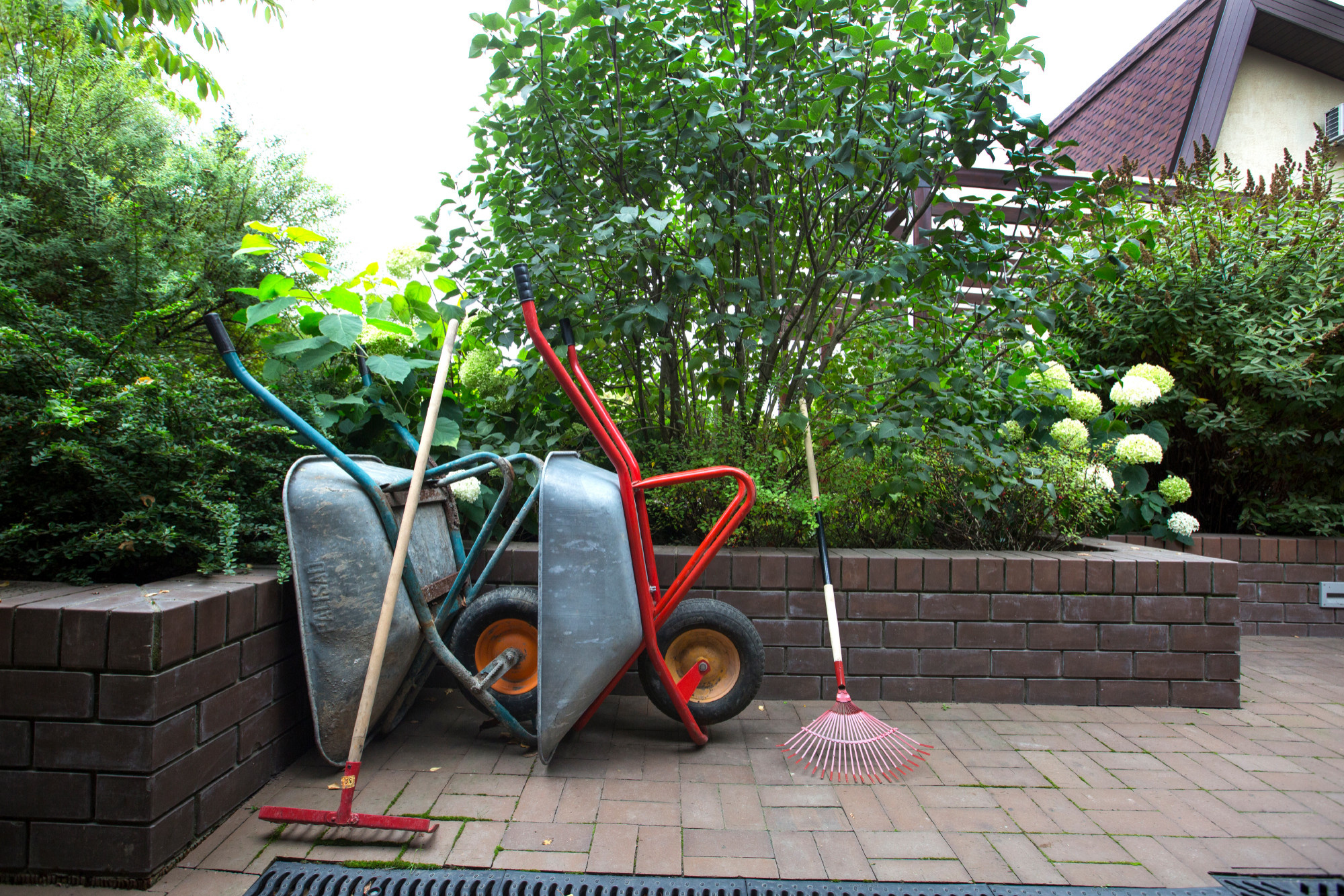 Проект недели: Сад для жизни с растениями на подпорных стенах