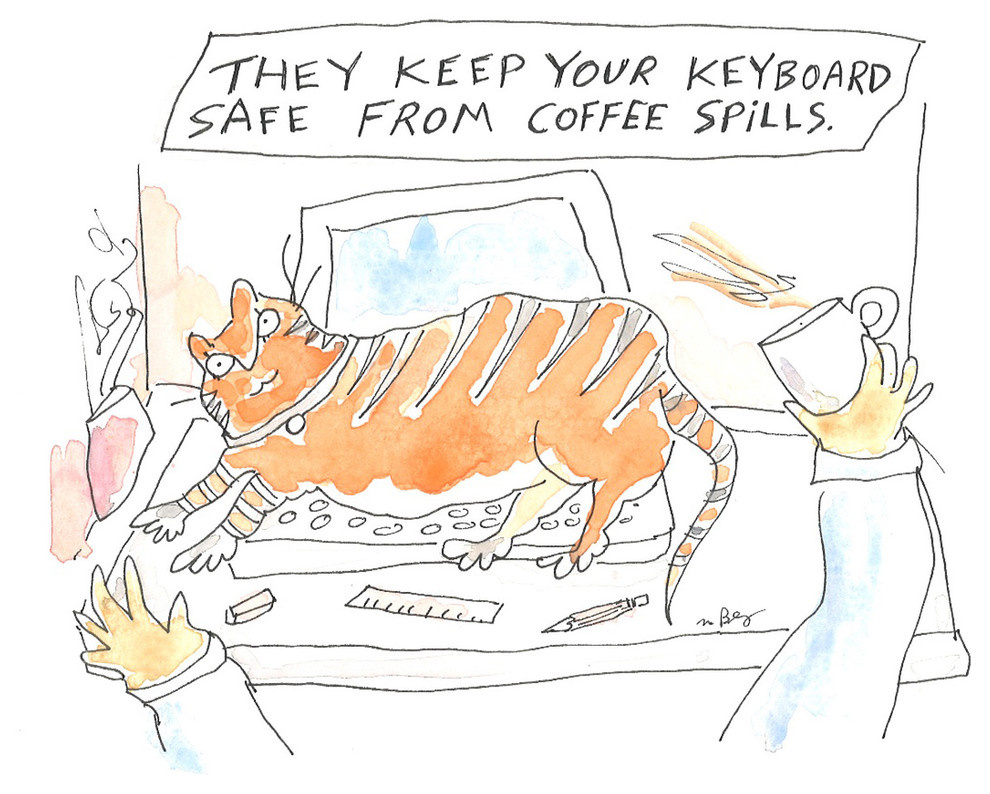 А шубу в шкаф: 5 способов пережить кошачью линьку