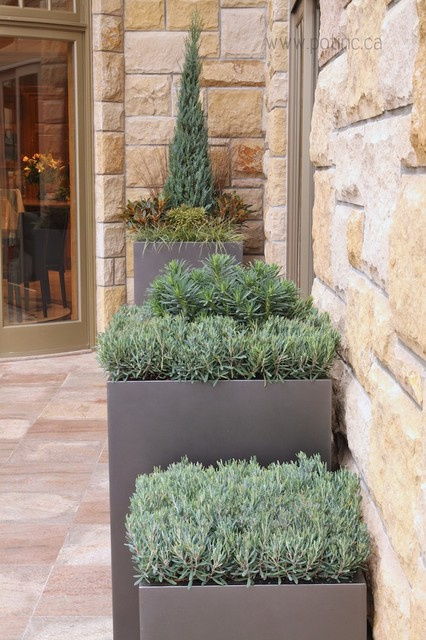 Зимний сад: Как понять, какой тип подходит именно вам